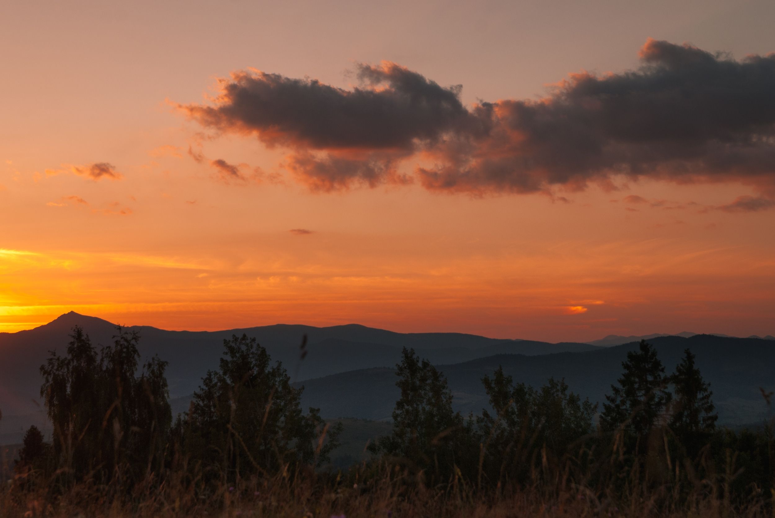 DSC_8034.jpg