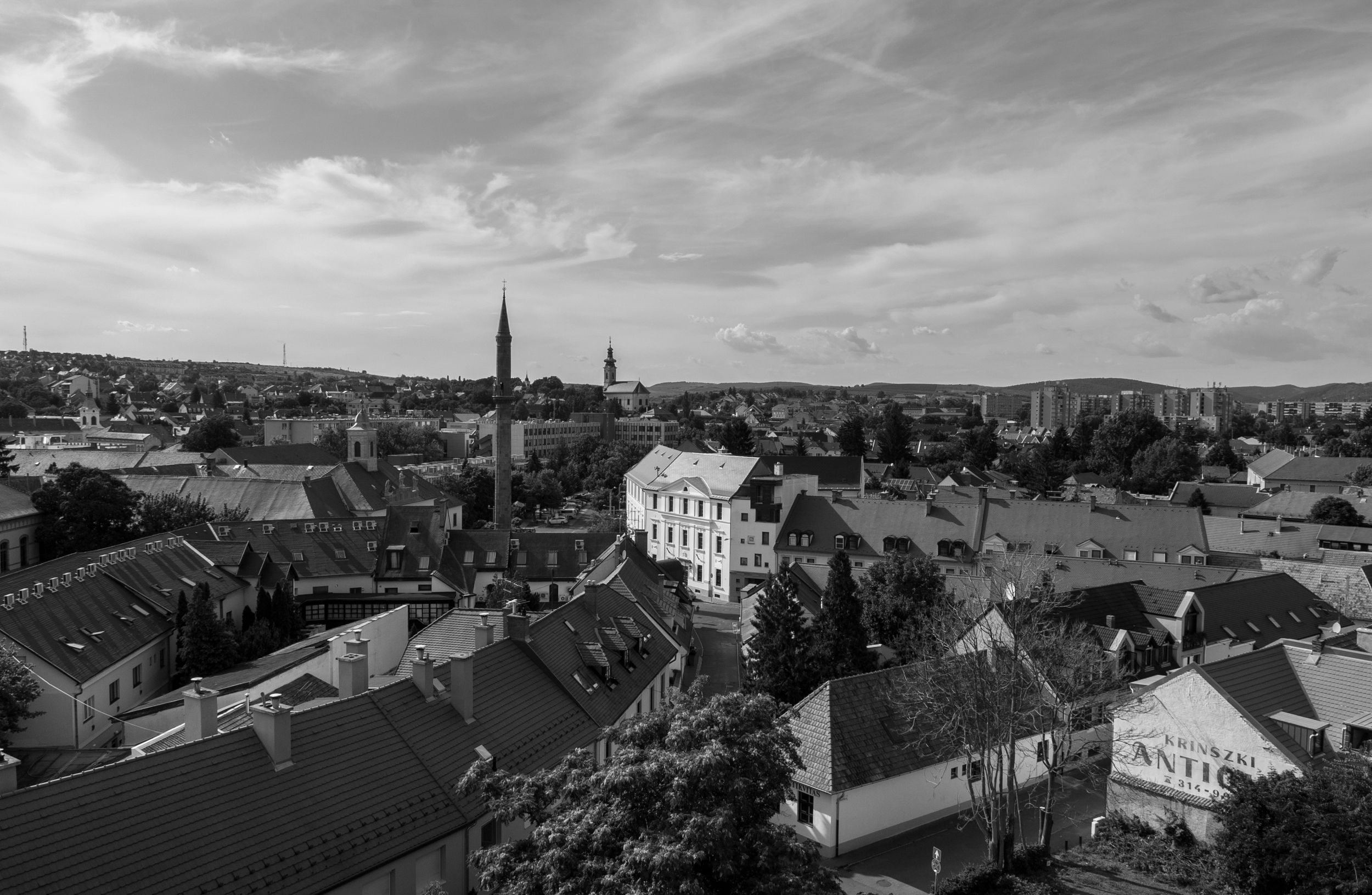 DSC_7319.jpg