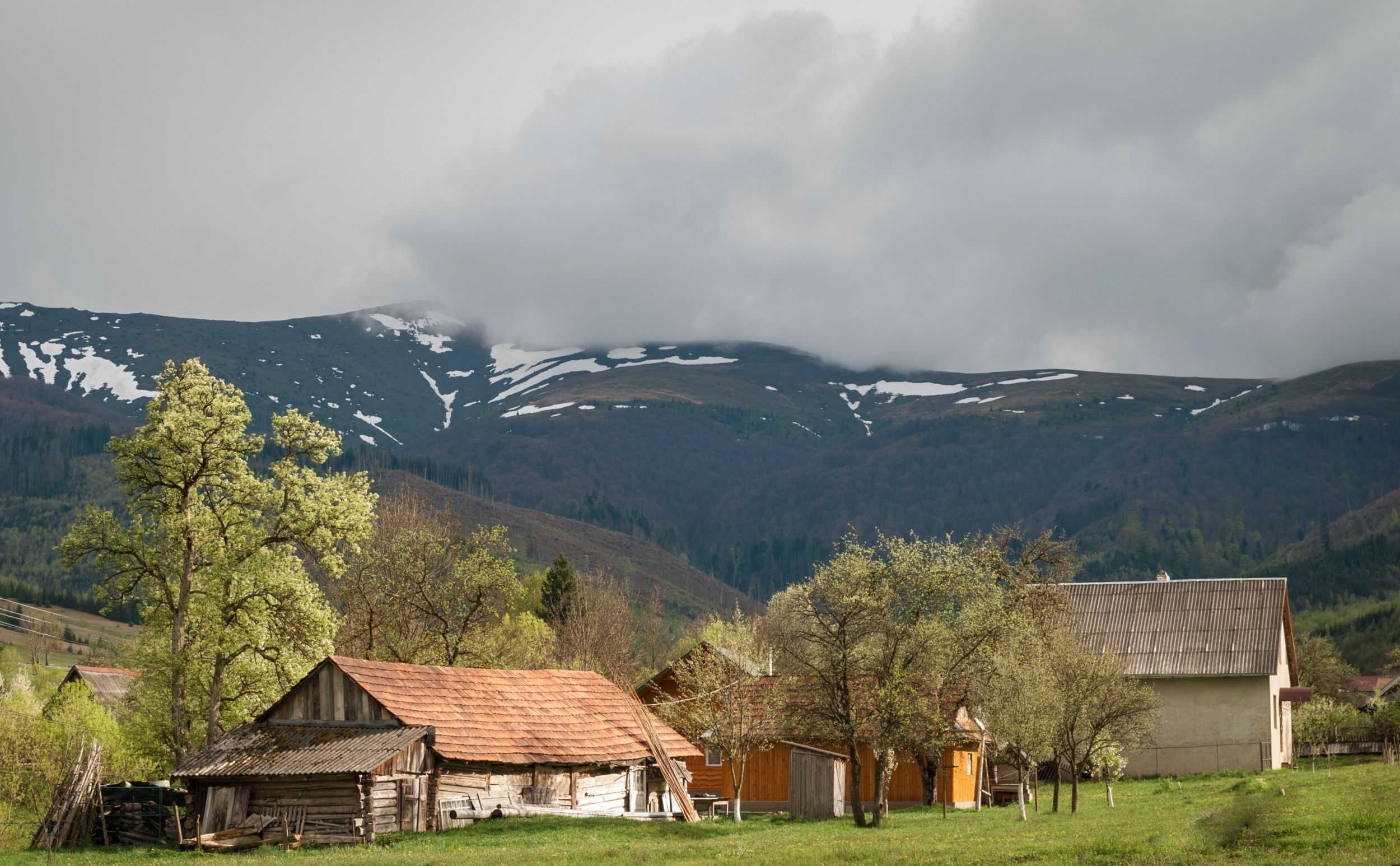 DSC_6434.jpg