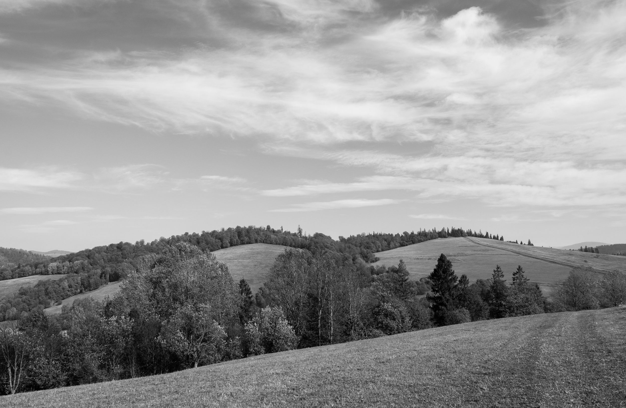 DSC_8642.jpg