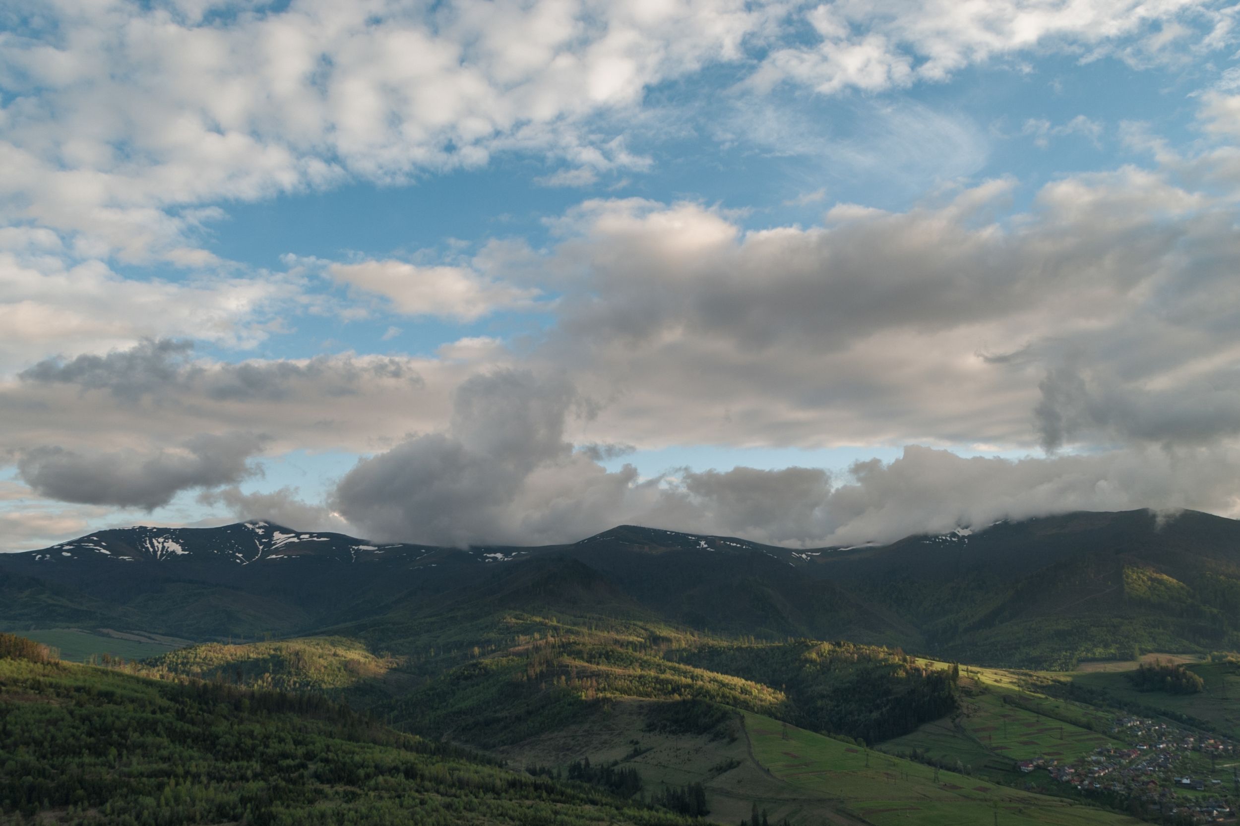 DSC_7567.jpg