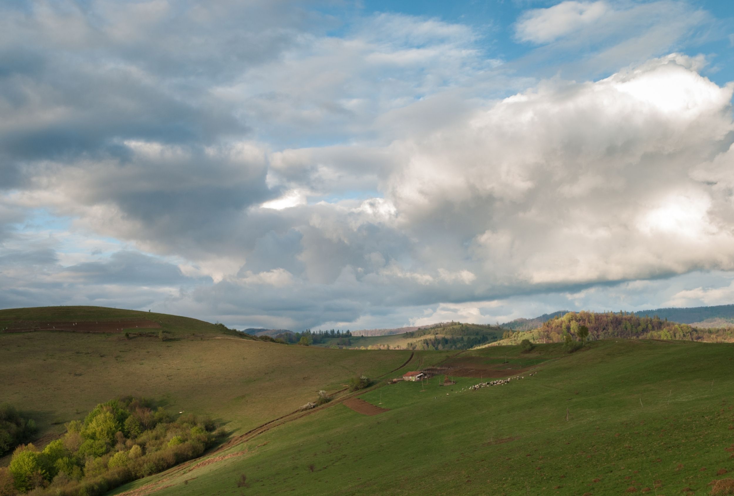 DSC_7535.jpg
