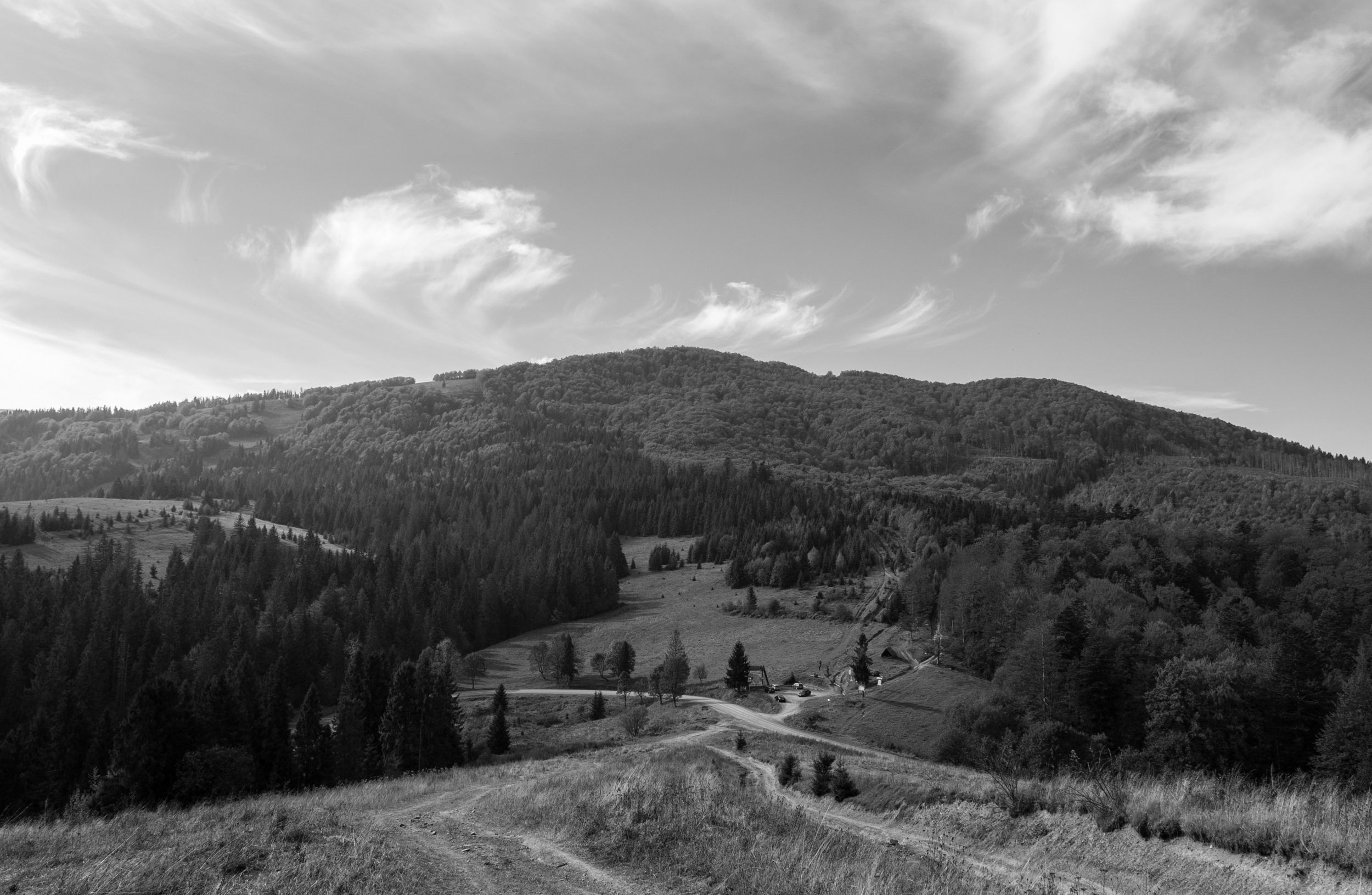 DSC_8631.jpg