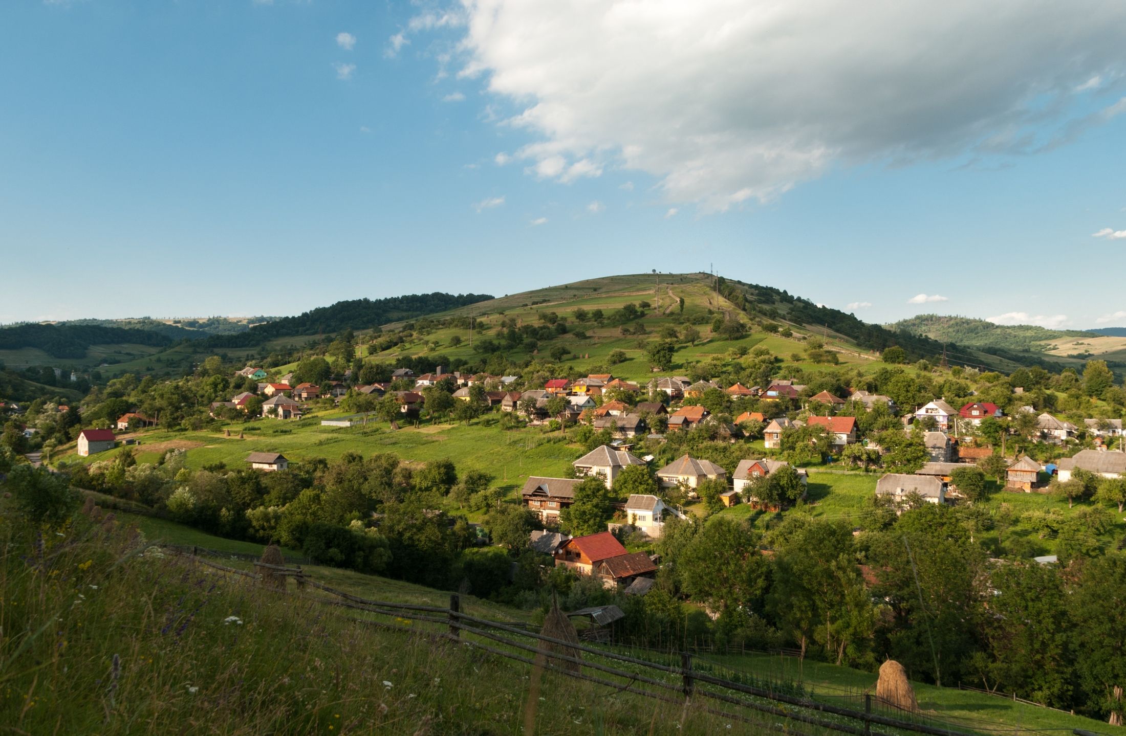 DSC_6298.jpg