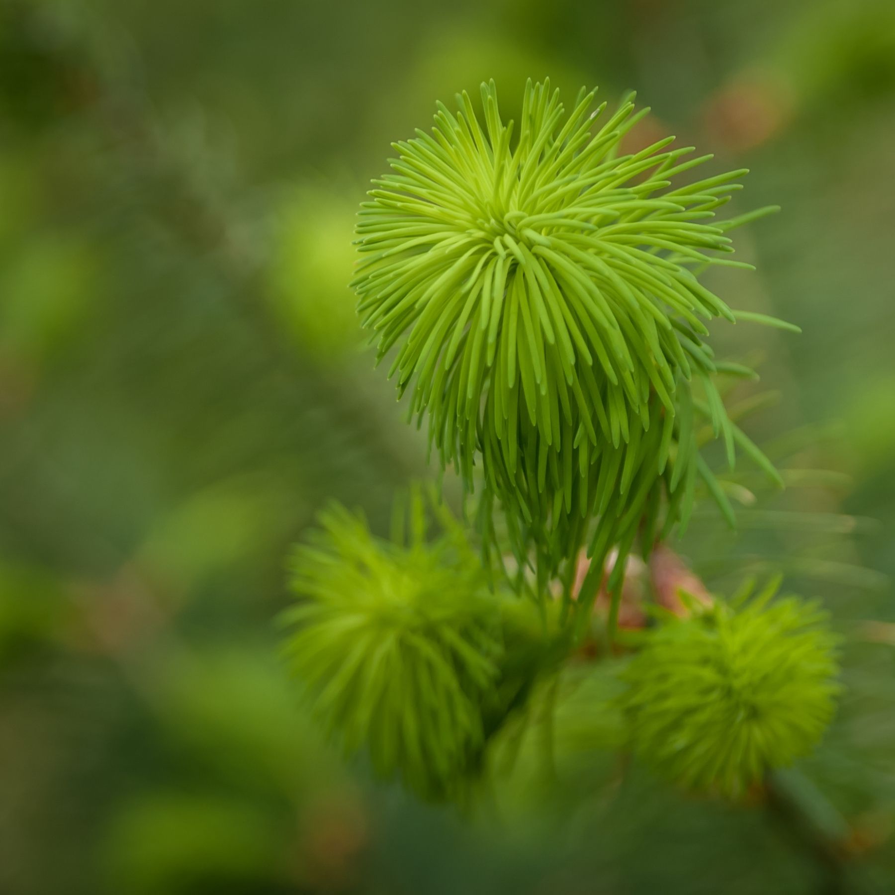 DSC_6898.jpg