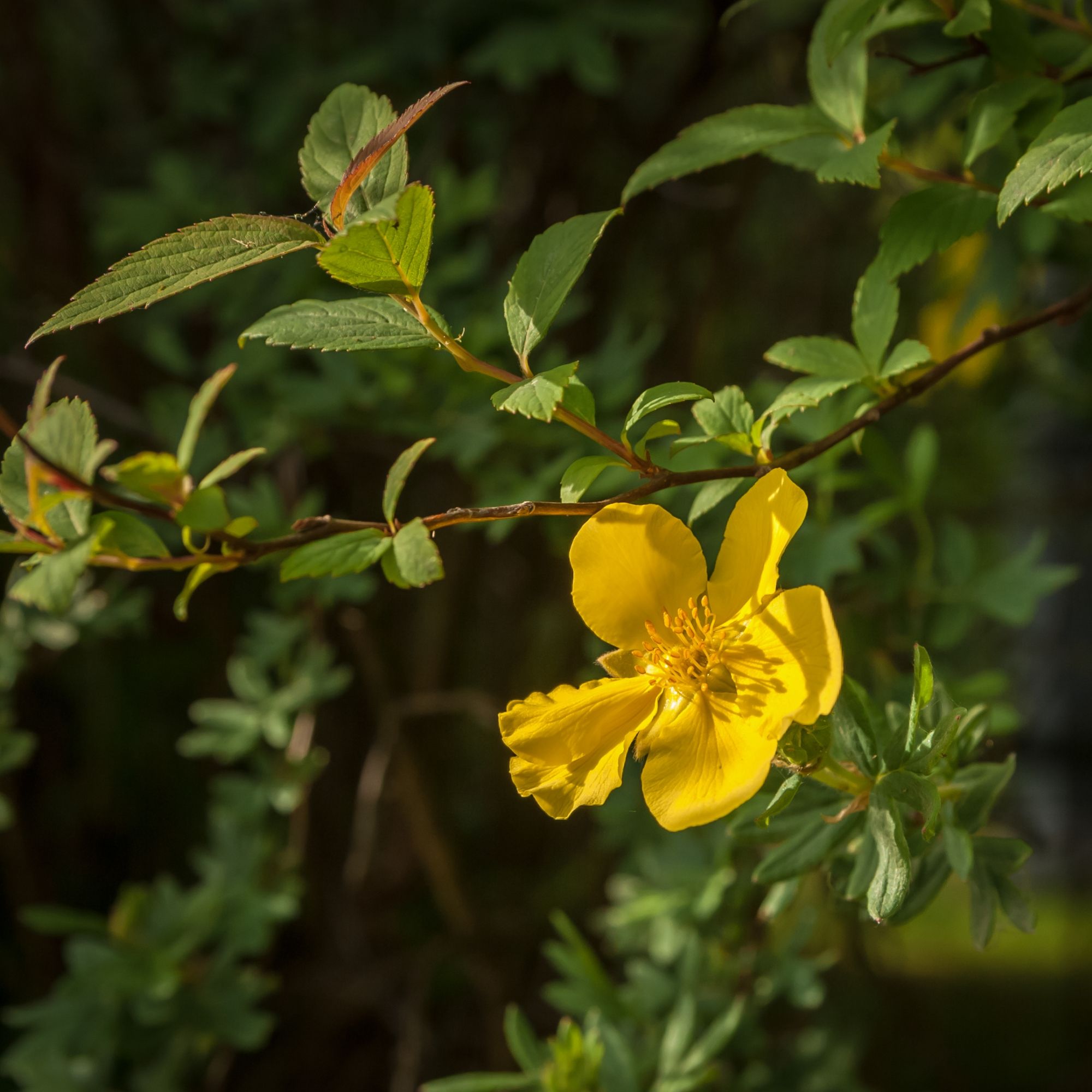 DSC_6840.jpg