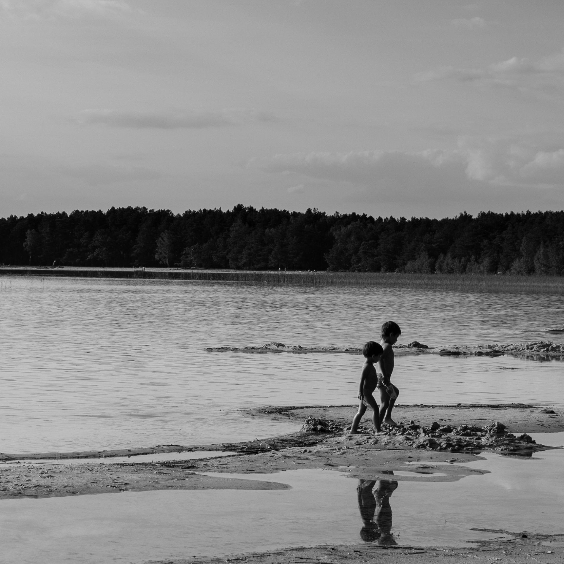 DSC_8036.jpg