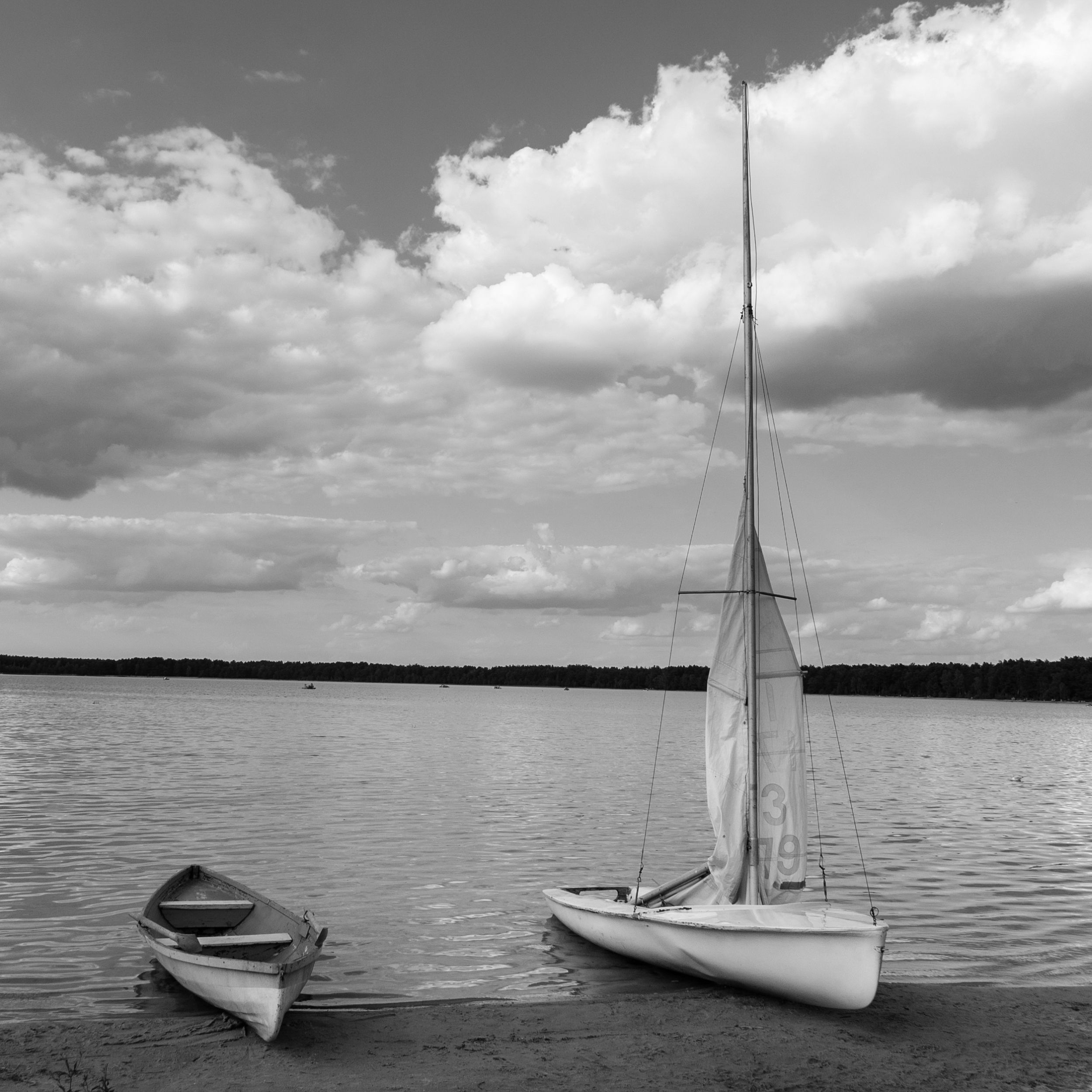 DSC_8014.jpg