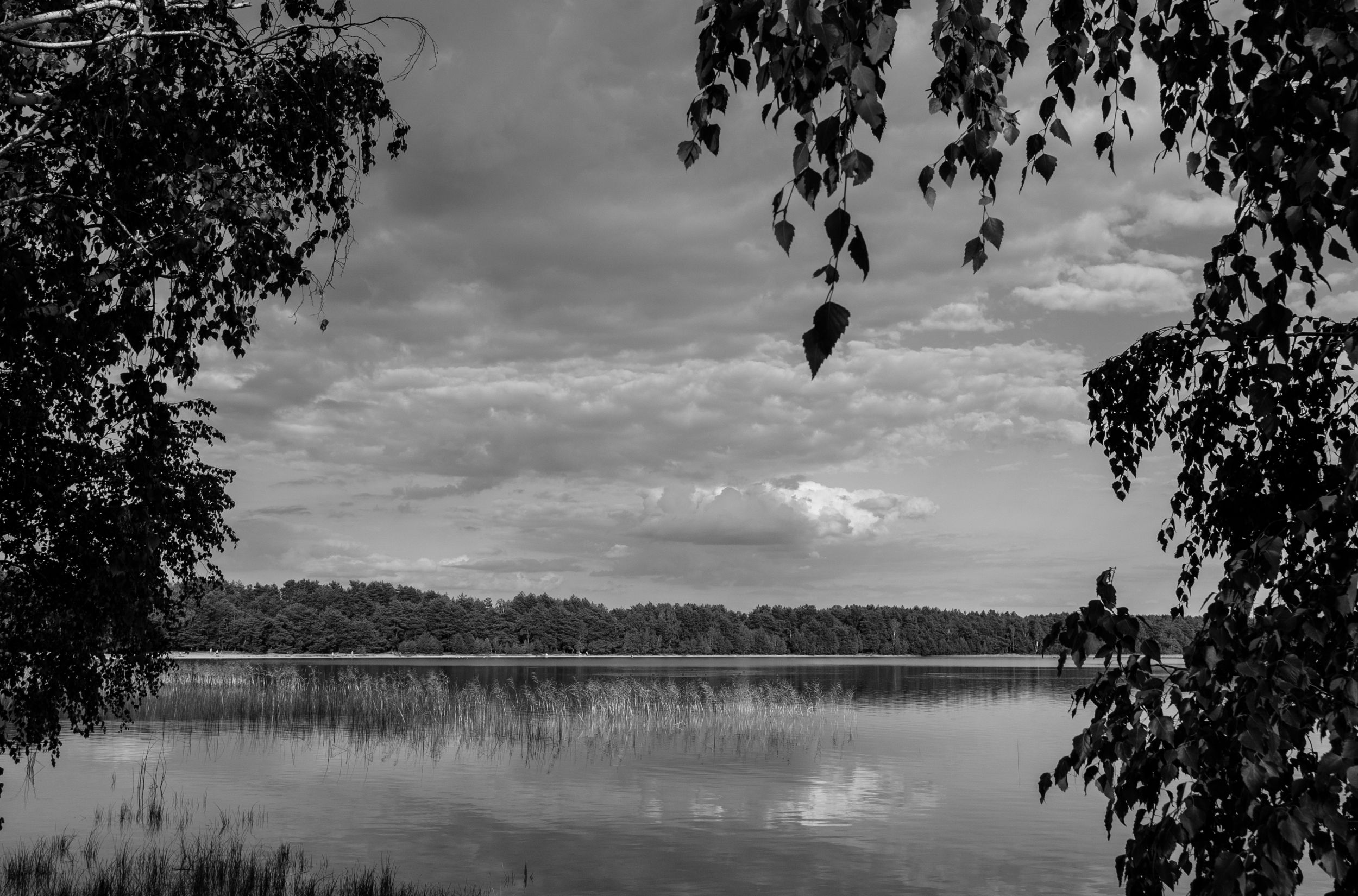 DSC_8053.jpg