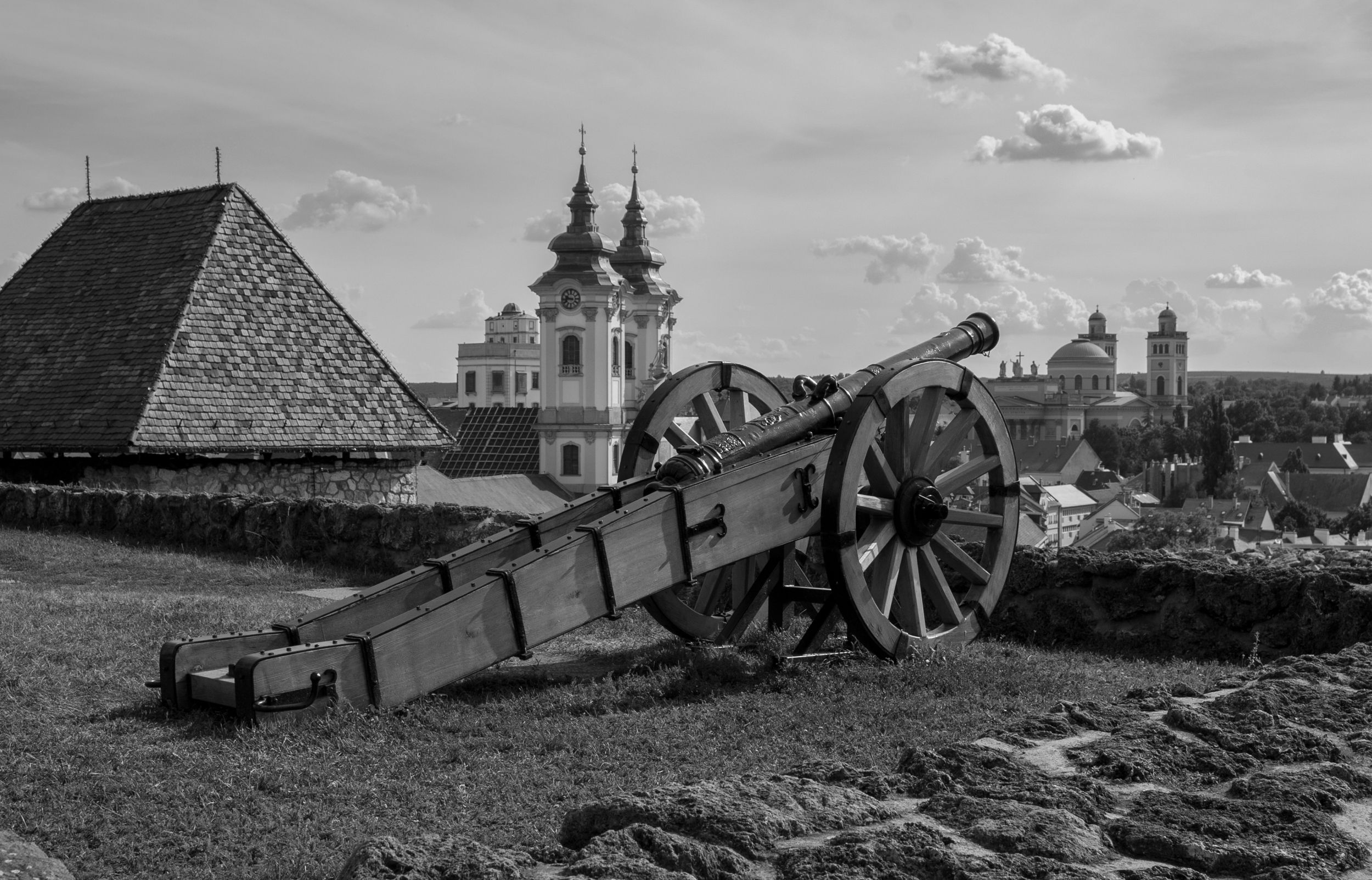 DSC_7313.jpg