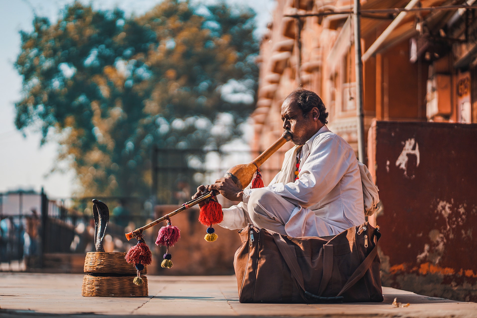 pexels-saman-films-6060914.jpg