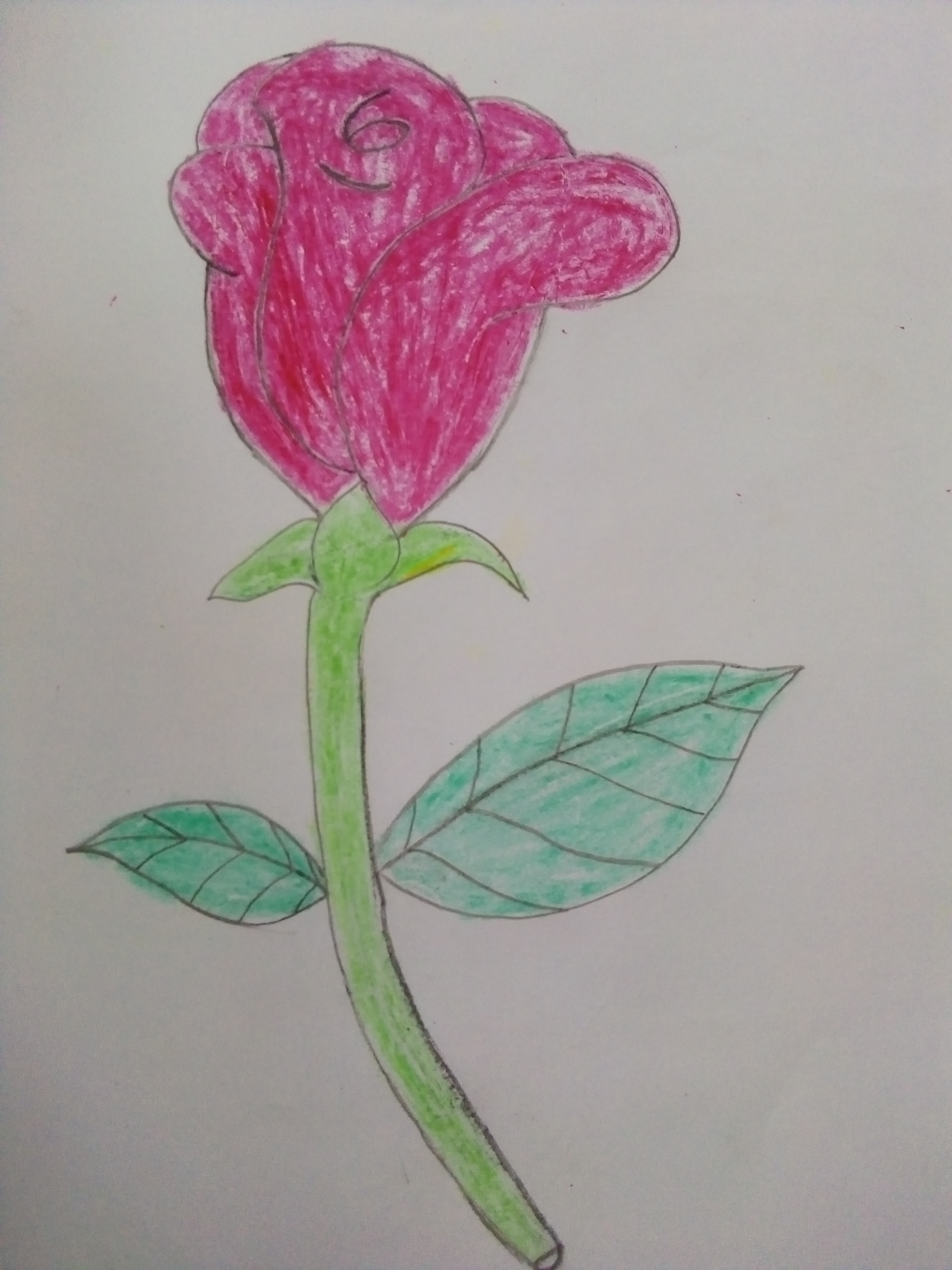 udygold's cover