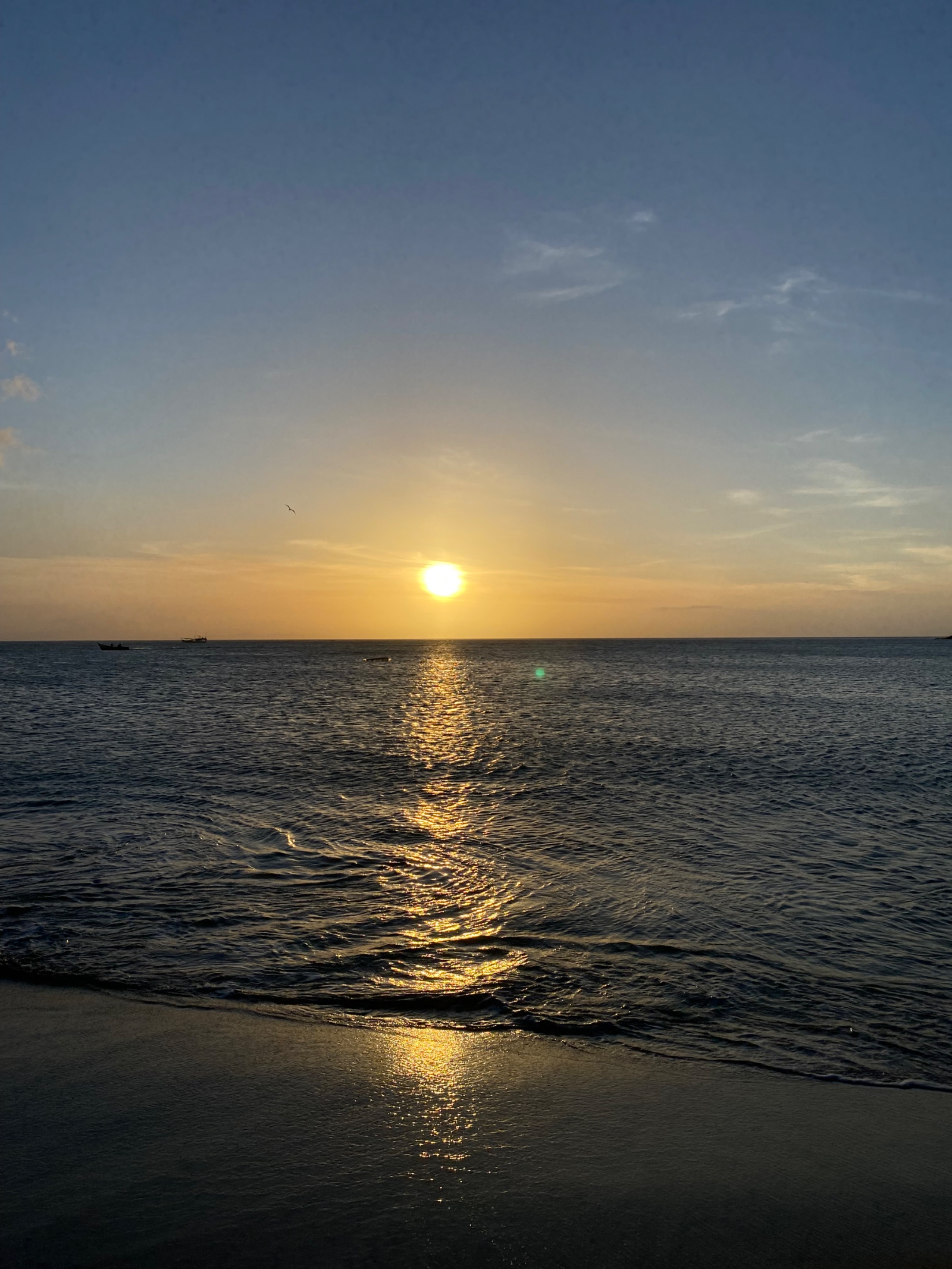 IMG_8875.jpeg