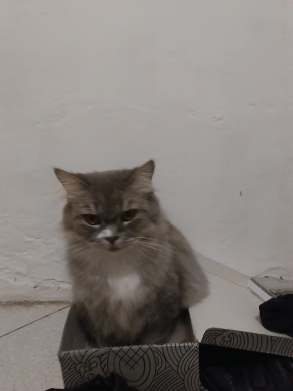 0787bab3-2261-4bfe-936d-9c011f4b97d0.jpeg
