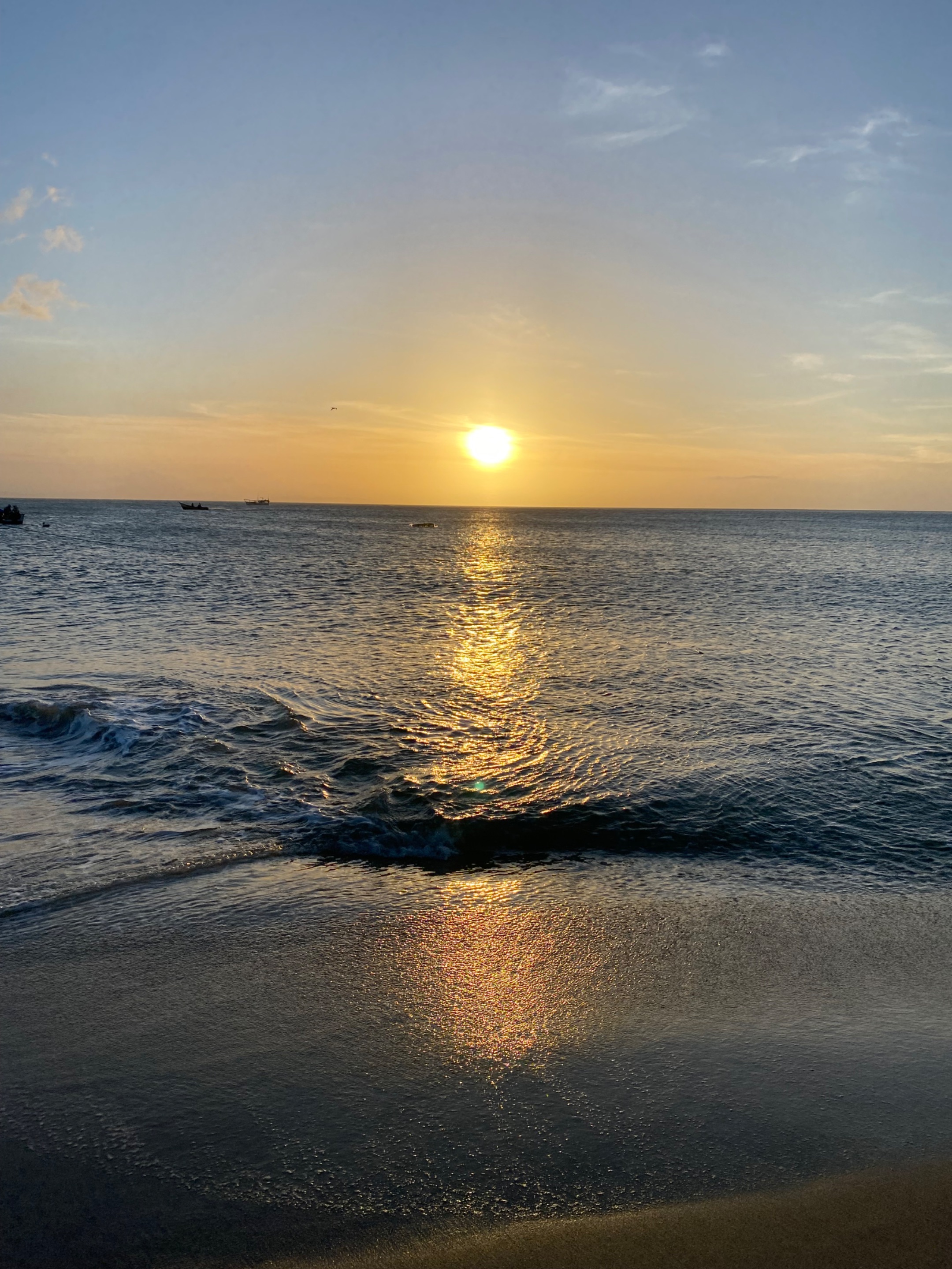 IMG_8874.jpeg