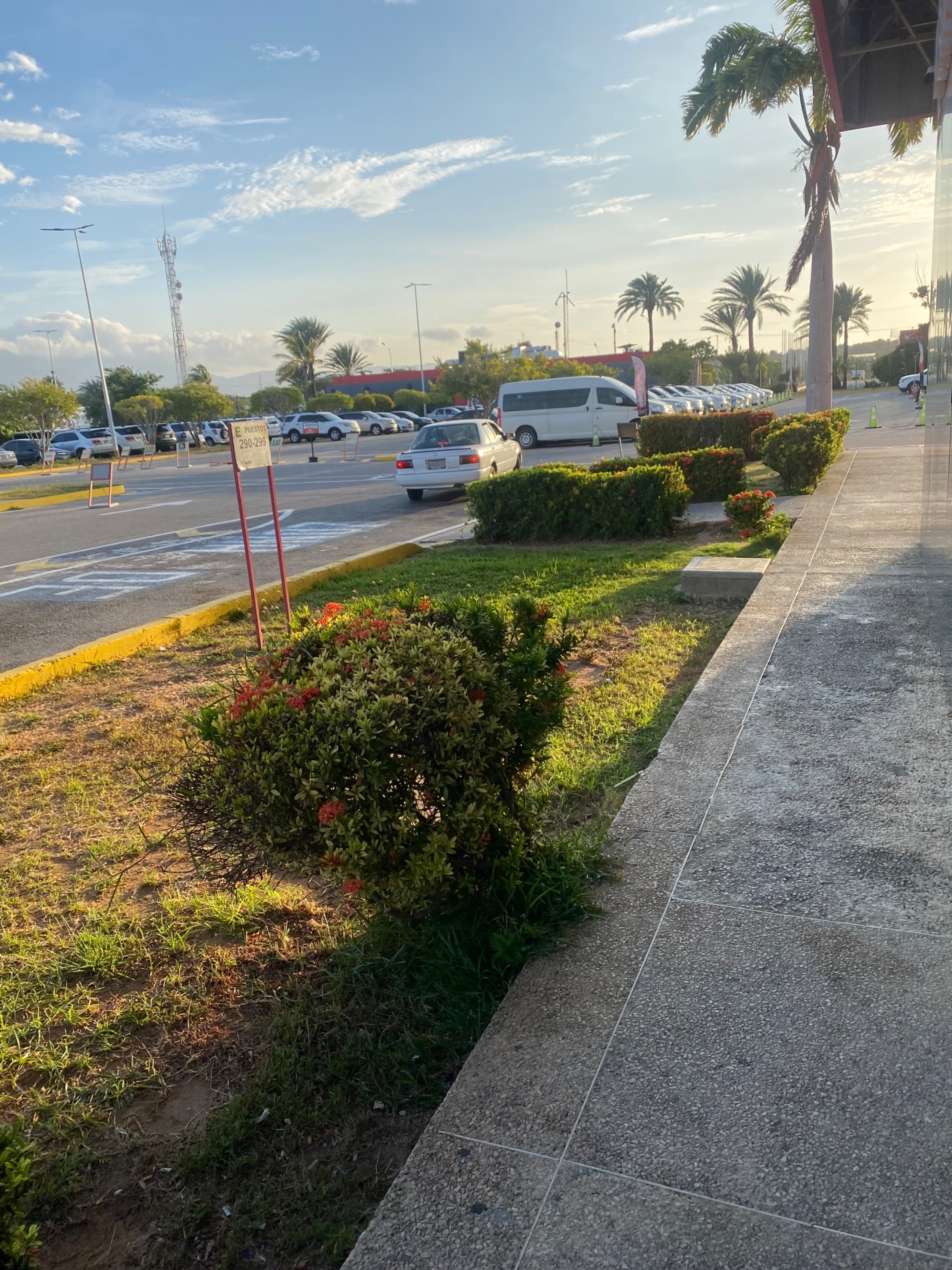 IMG_8166.jpeg