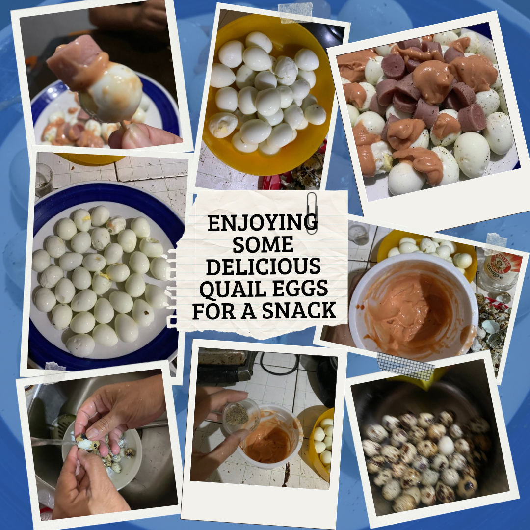 ENJOYING SOME DELICIOUS QUAIL EGGS FOR A SNACK.png