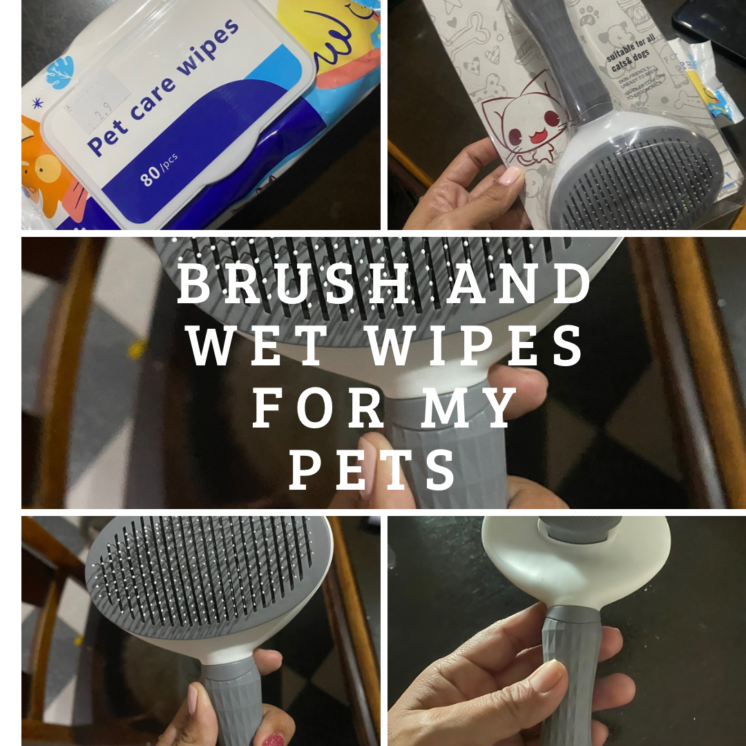 BRUSH AND WET WIPES FOR MY PETS.png