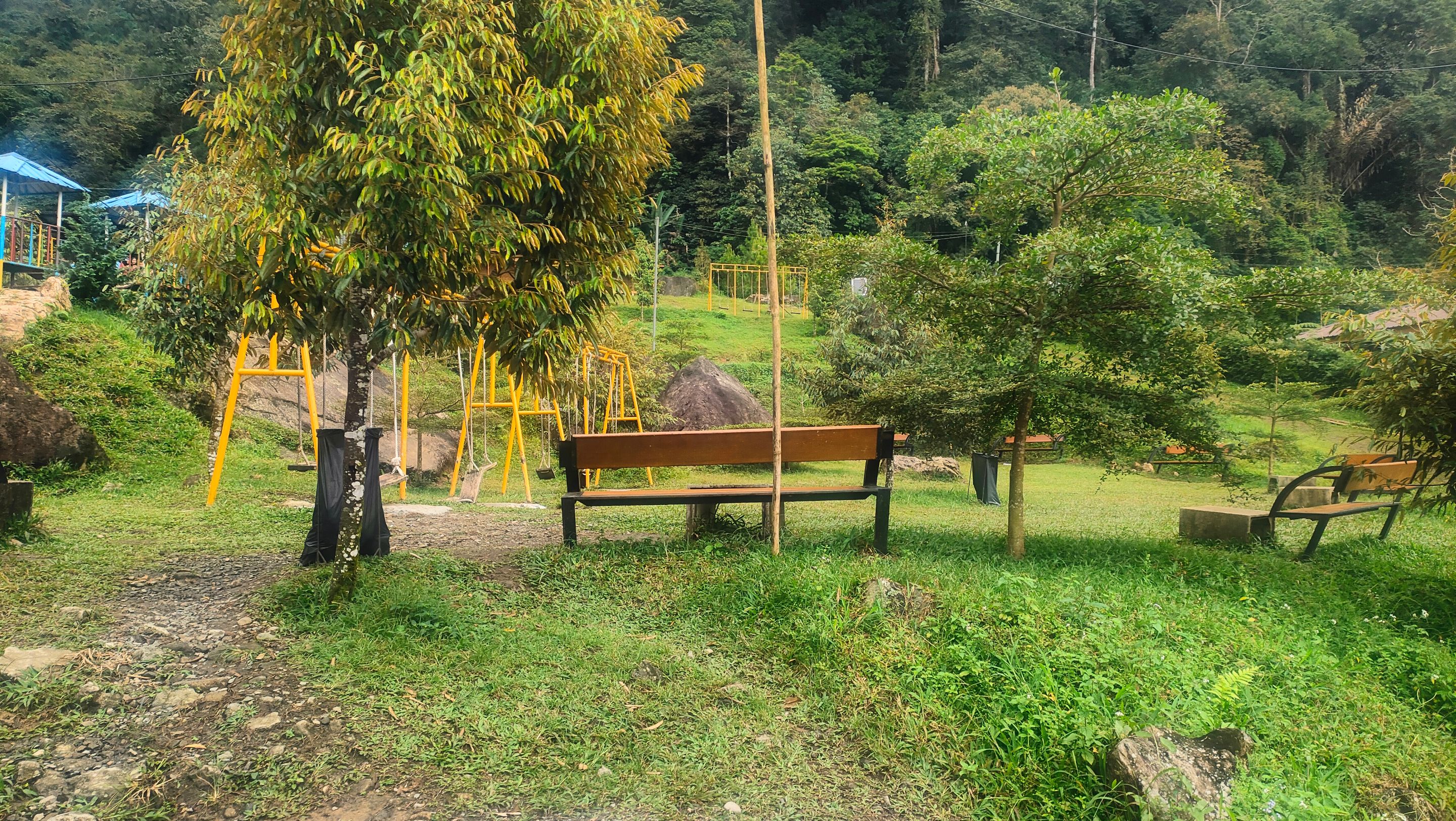 IMG20250225145726.jpg
