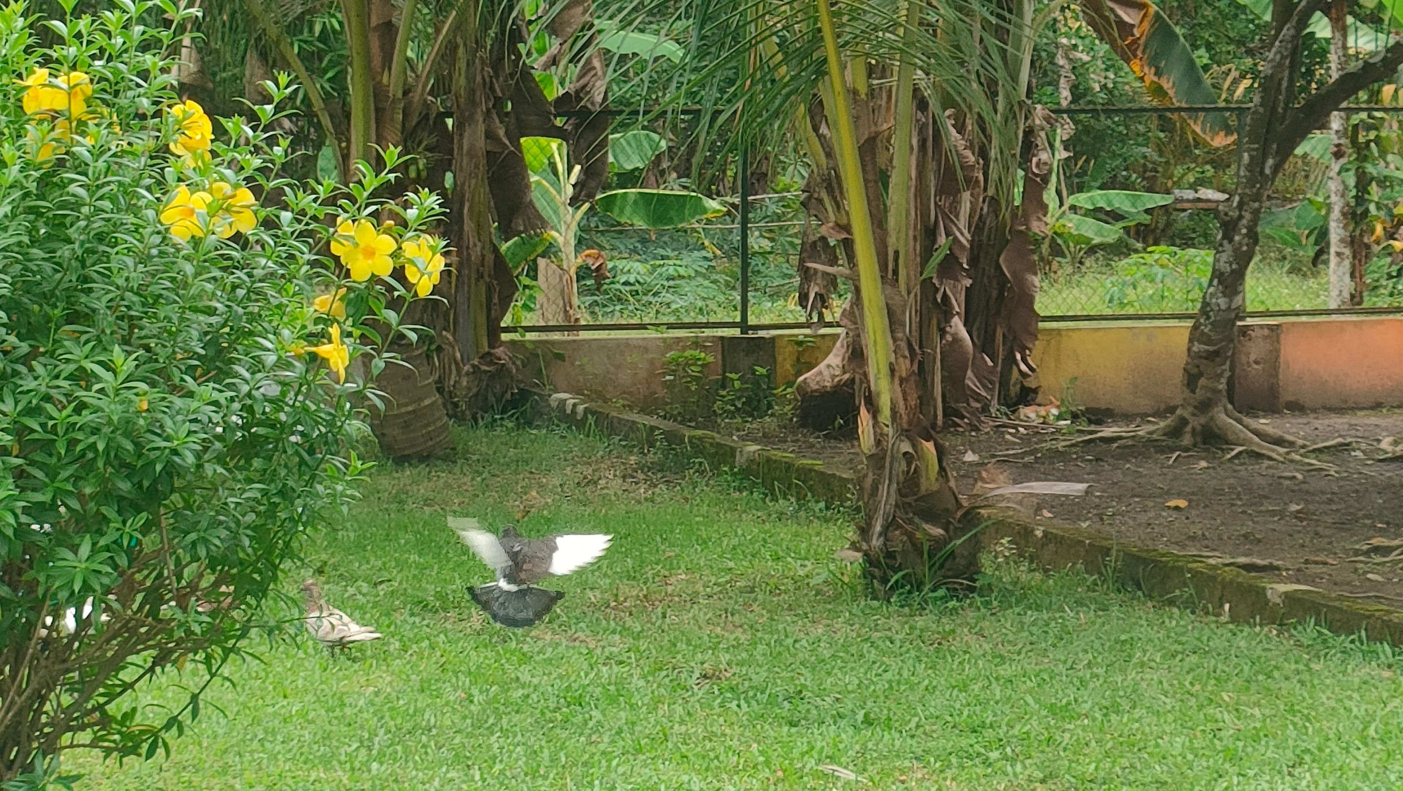 IMG20240609123041.jpg