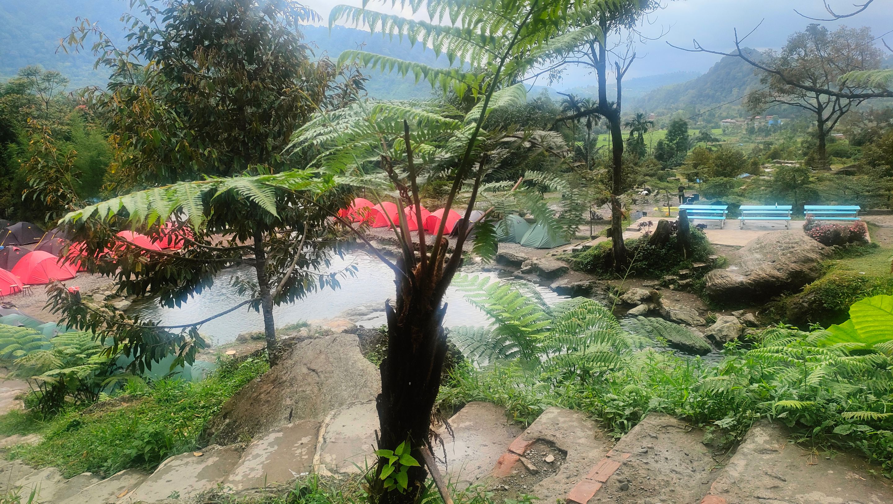 IMG20250225145746.jpg