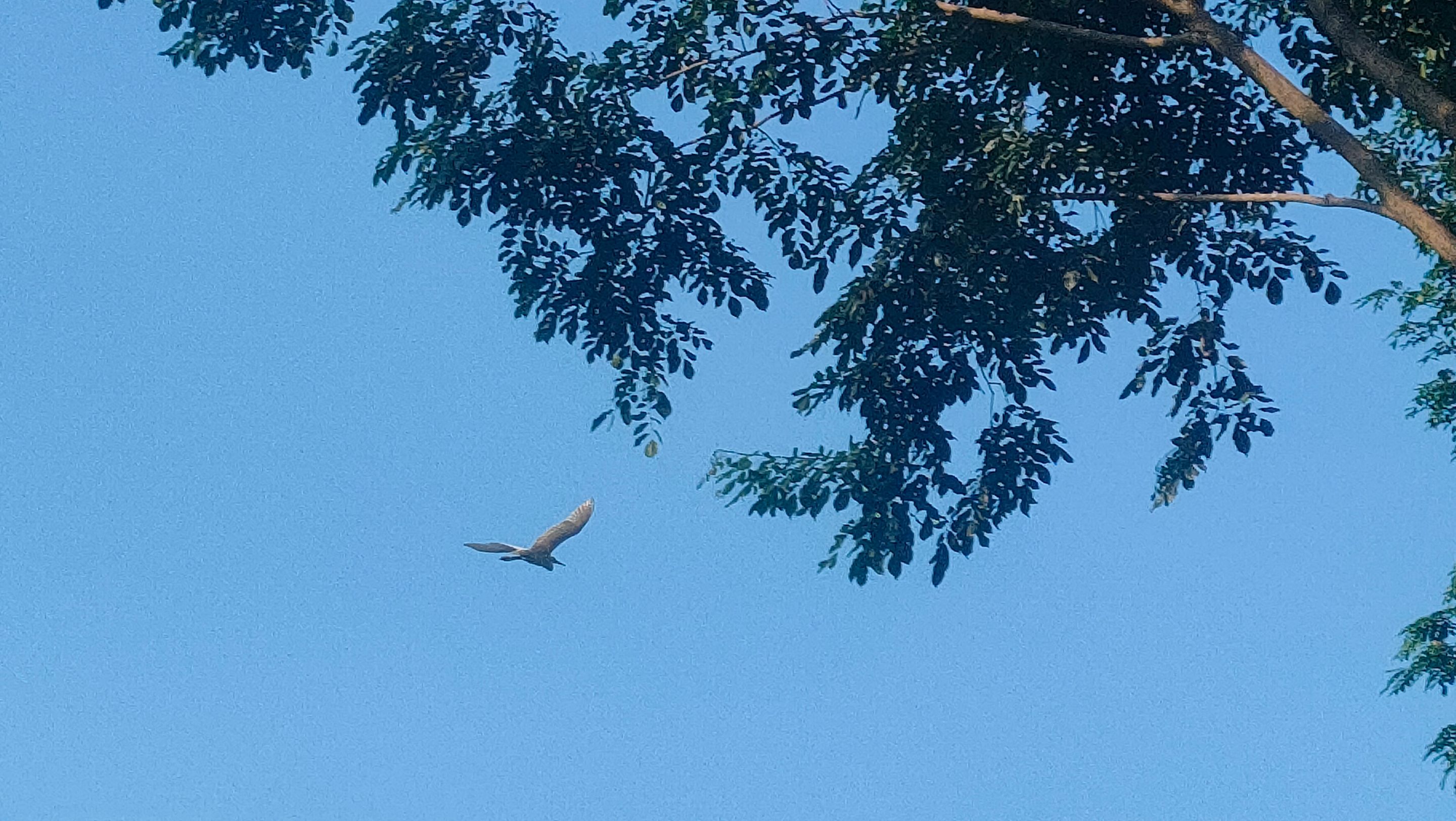 IMG20240605165941.jpg
