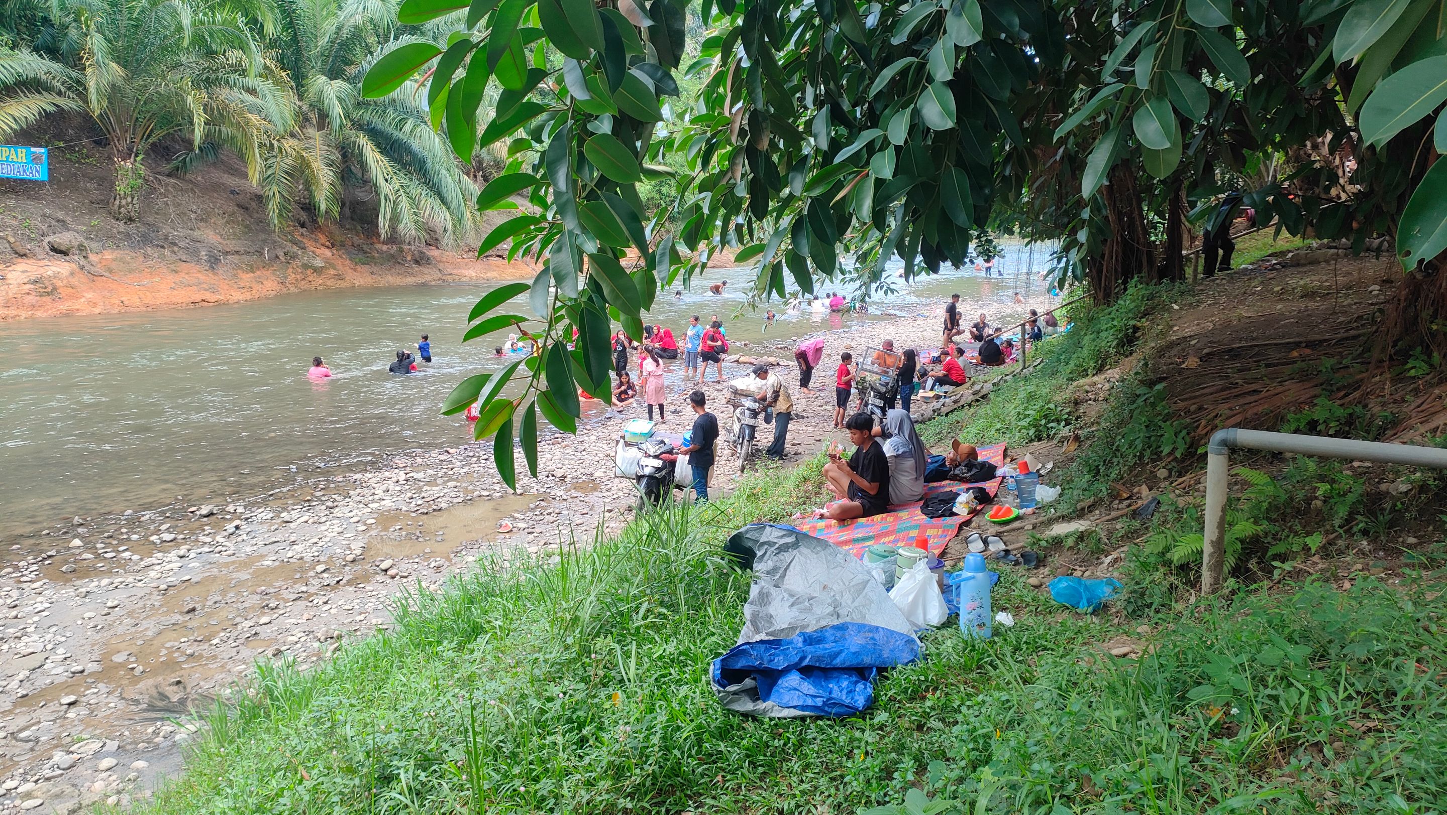 IMG20241117132420.jpg