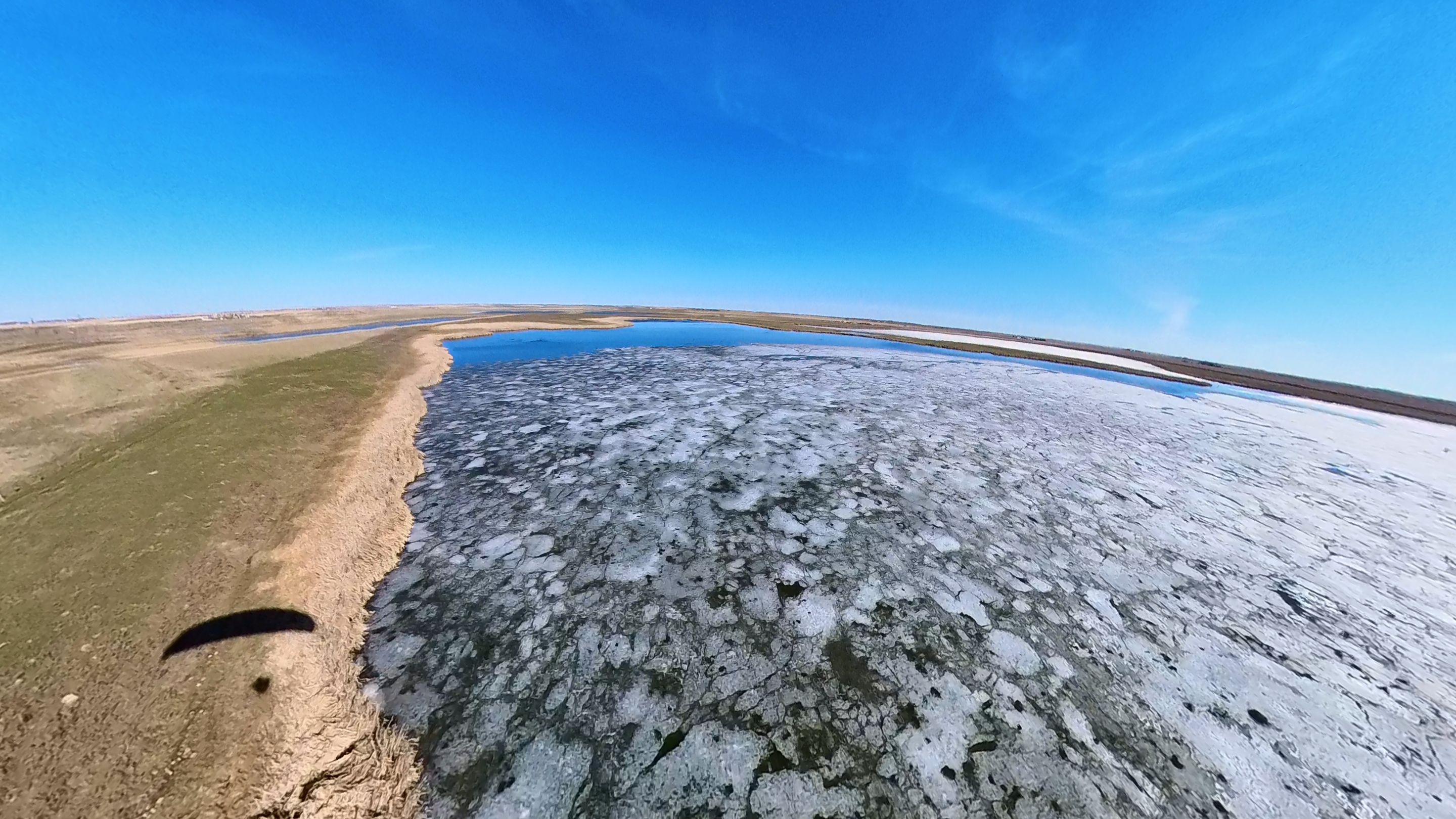 Icy Marsh.jpg