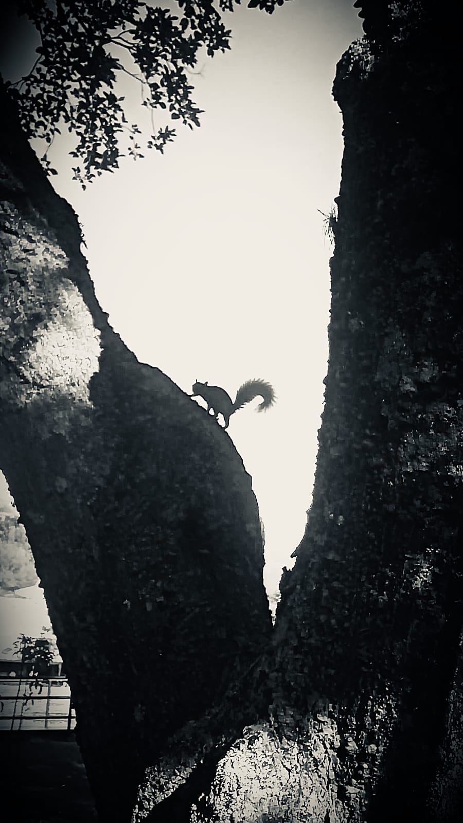 1000301114.jpg