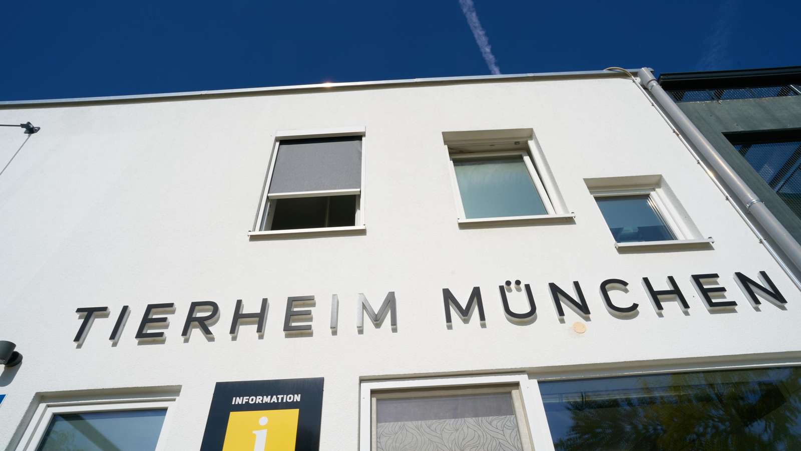38495109-uebersicht-hauptgebaeude-was-passiert-vor-den-sommerferien-ein-tag-im-tierheim-tierheim-muenchen-august-2024-foto-jens-hartmann-1NMH-3826020101.jpg