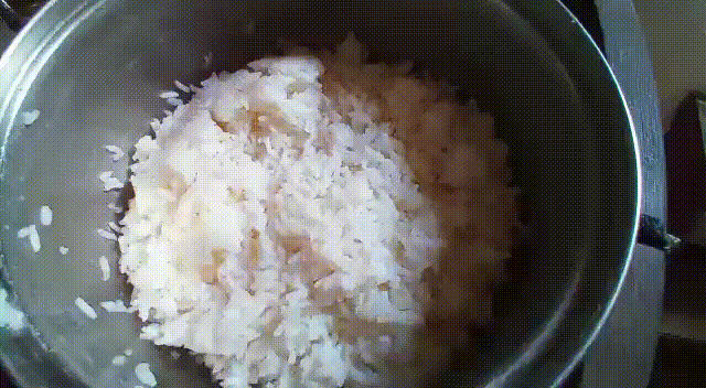 WhatsApp-Video-2022-03-08-at-4.59.14-PM (1).gif