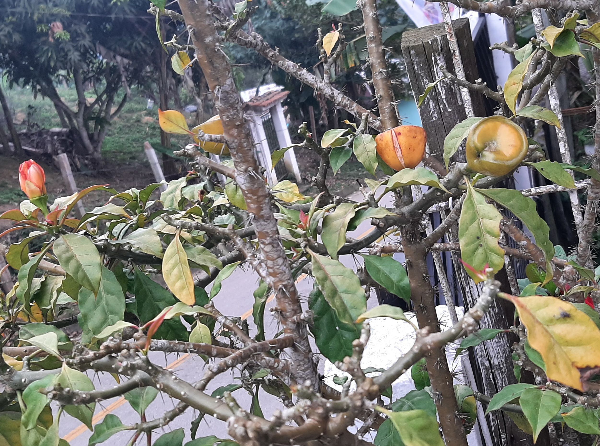 20230123_155912.jpg
