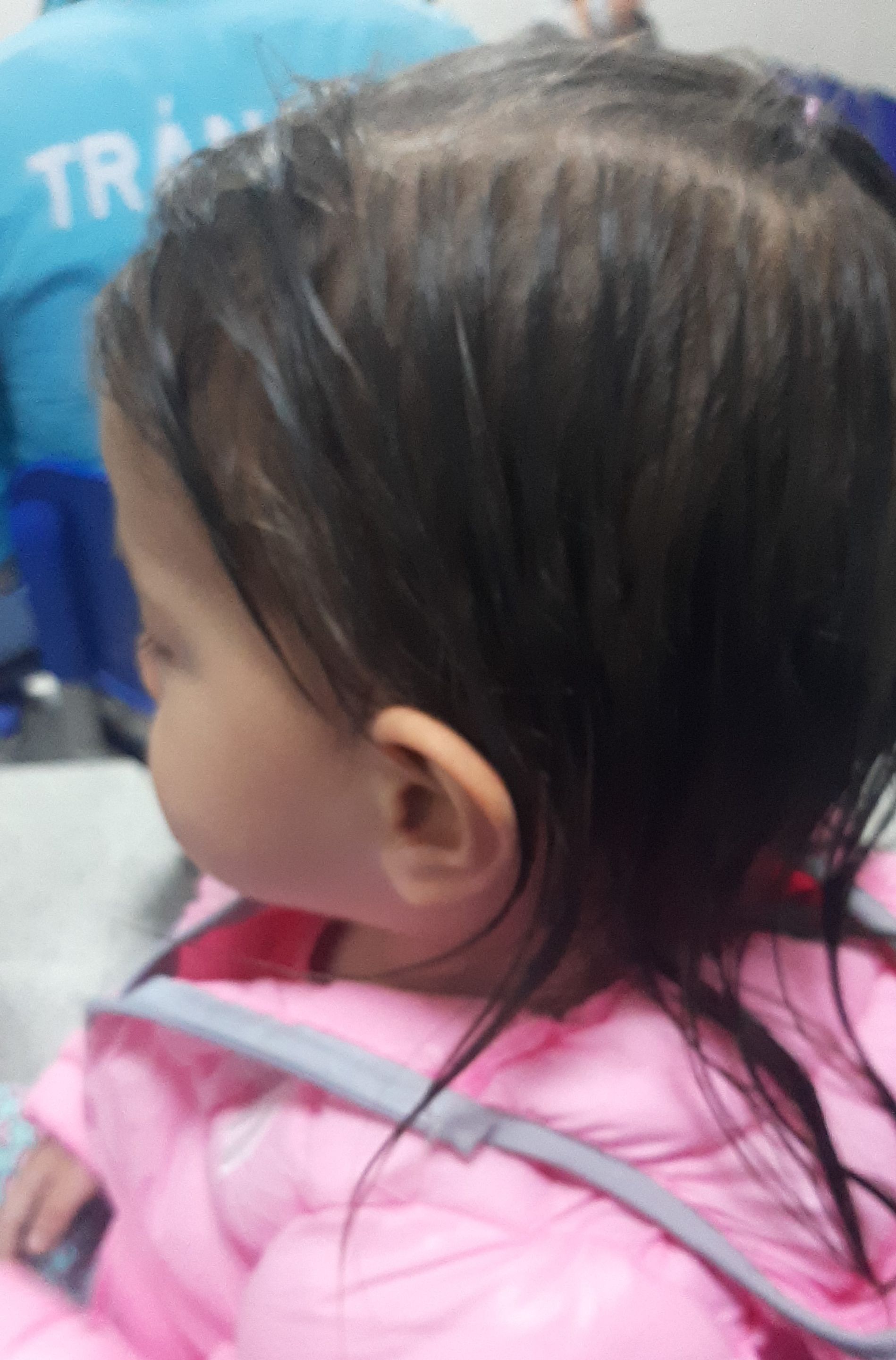 IMG-20221112-WA0007.jpeg