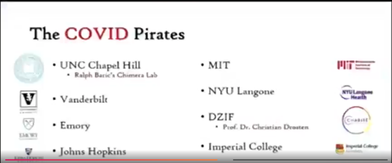CovidPirates.png