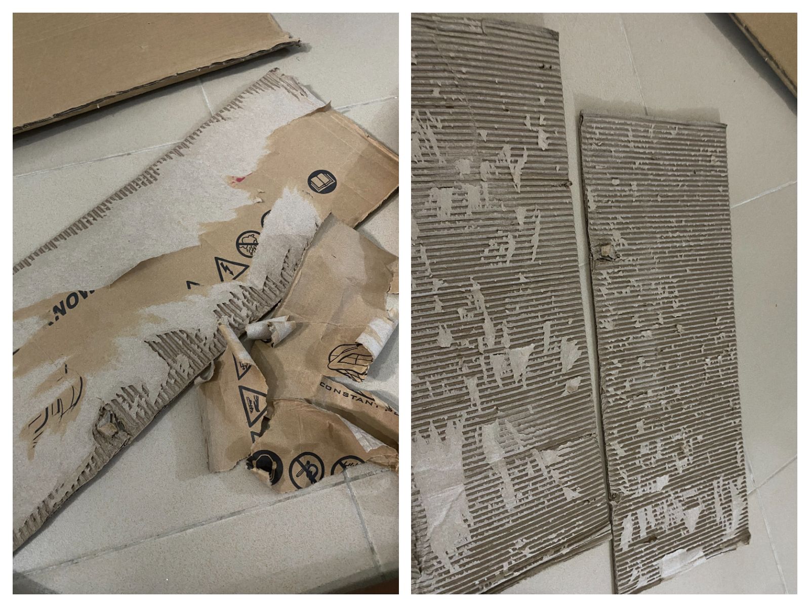 FotoJet (3).jpg