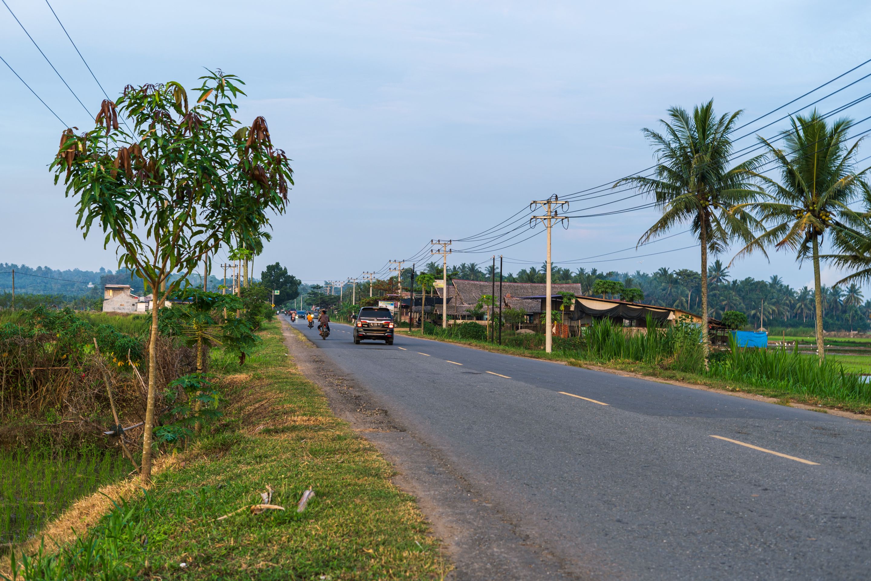 IBL04865 copy.jpg