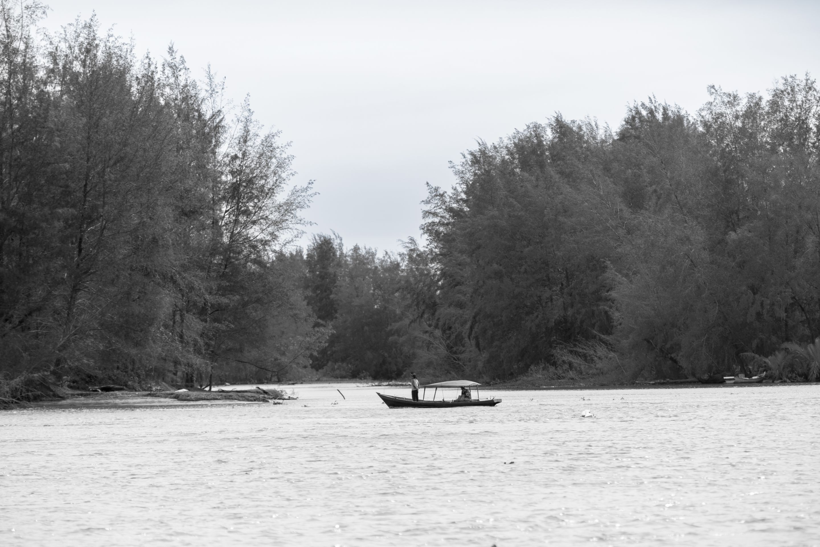 11 IRF02231 copy.jpg
