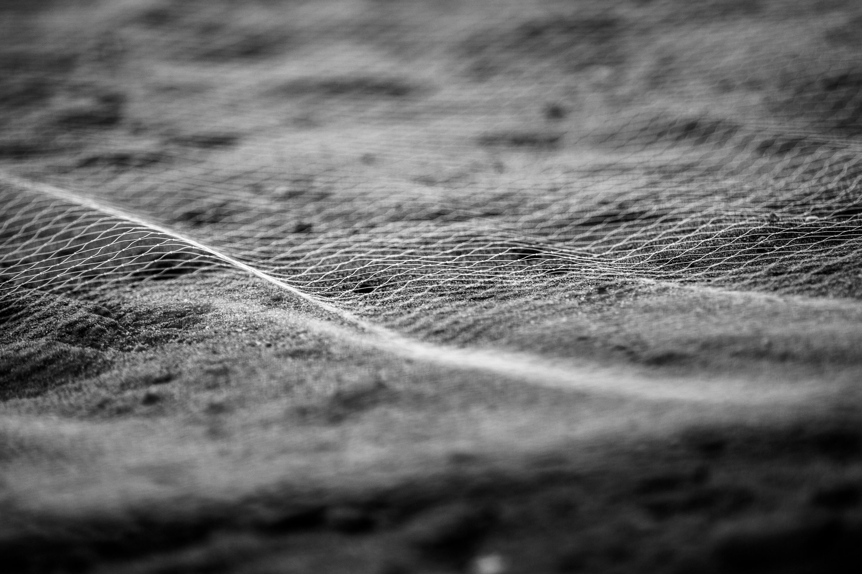 8 IMG_8901 +.jpg