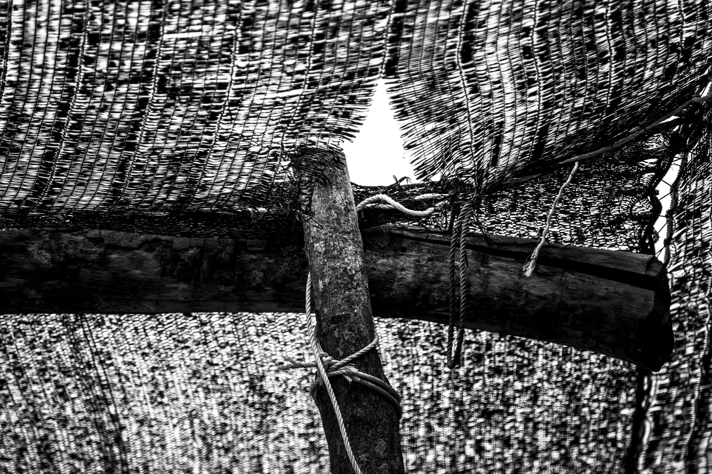 10 IMG_8506.jpg