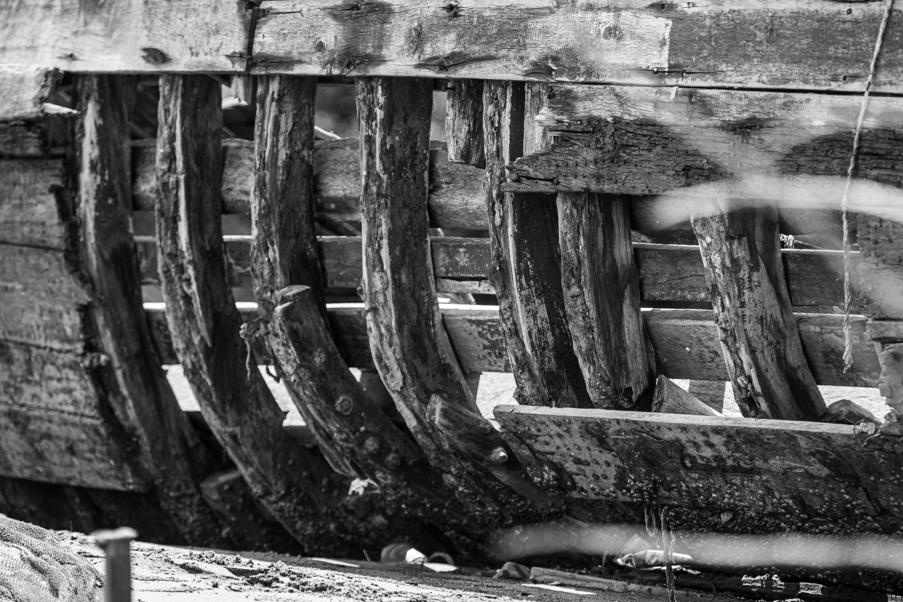 5 IRF09881 copy BW.jpg