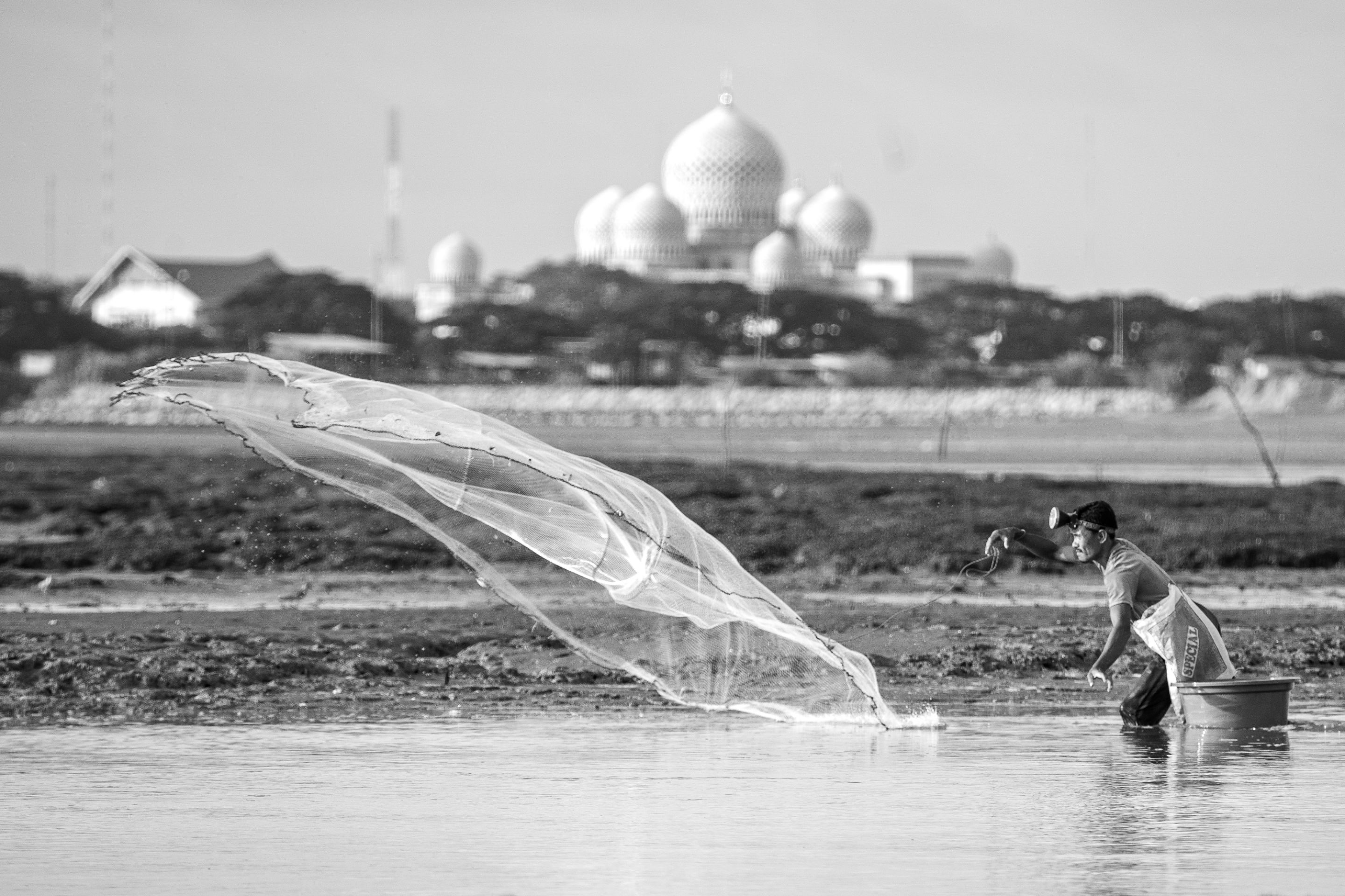 1 IRF00817 copy.jpg