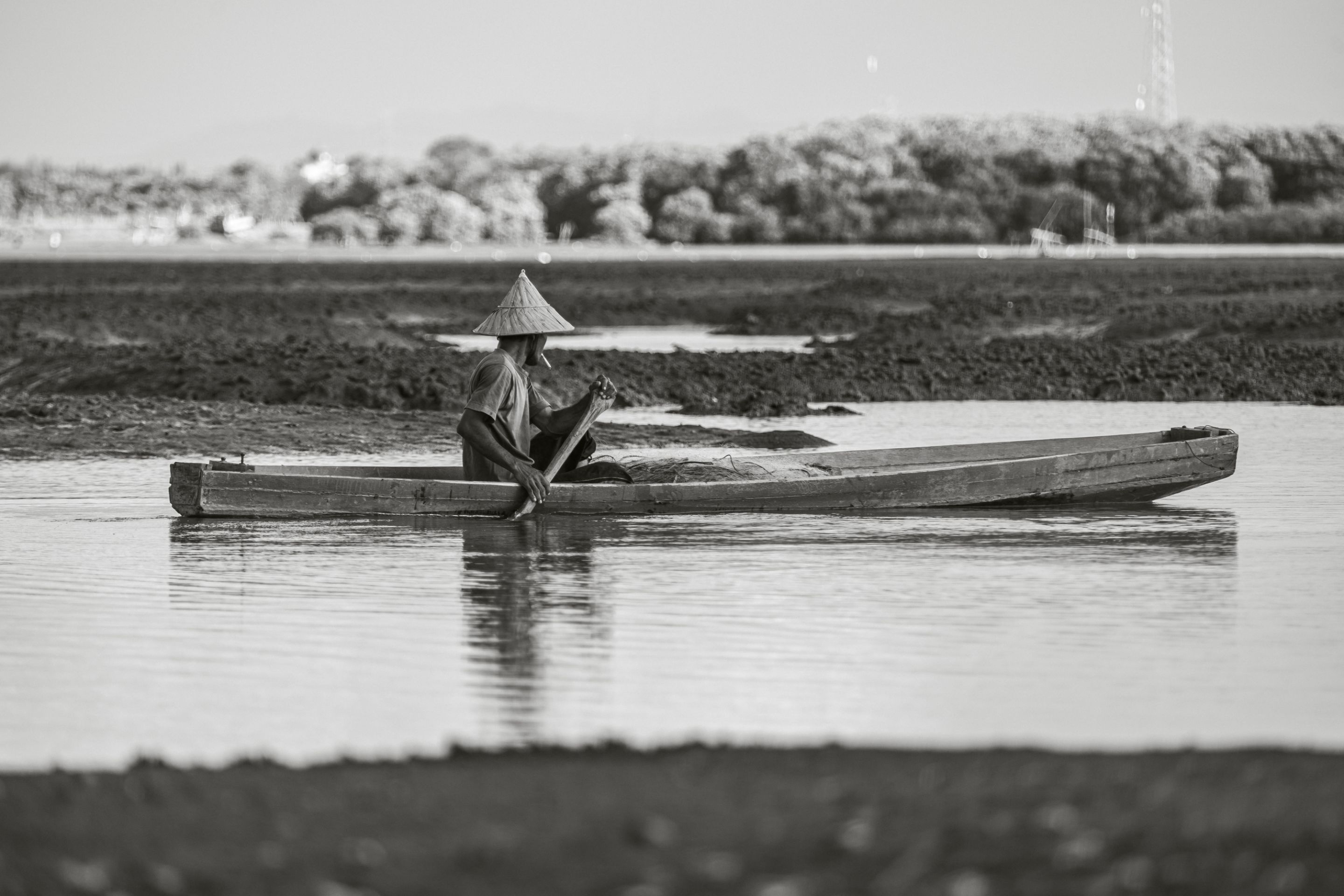 10 IBL06250 copy.jpg
