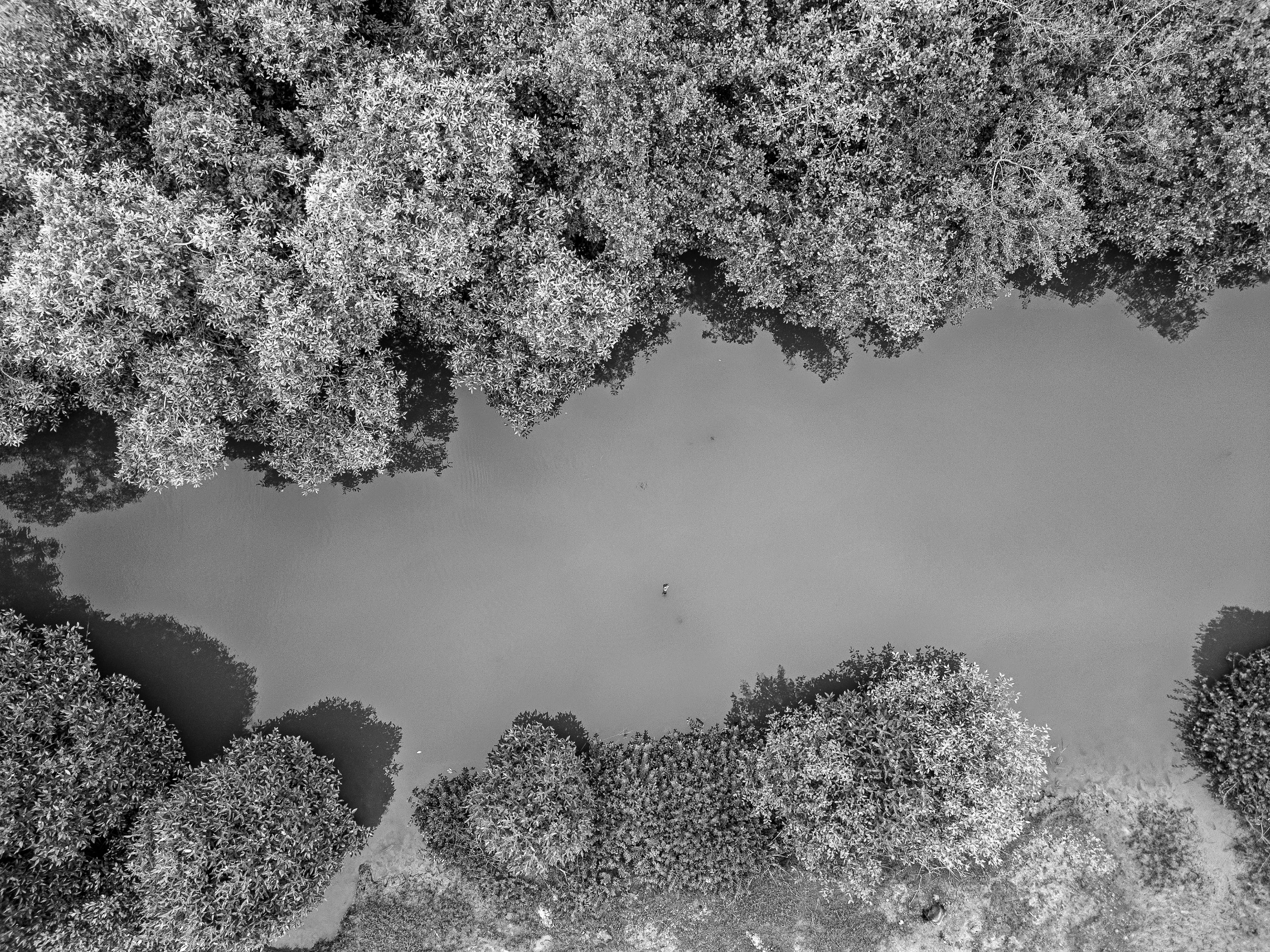 9 DJI_0048 copy.jpg