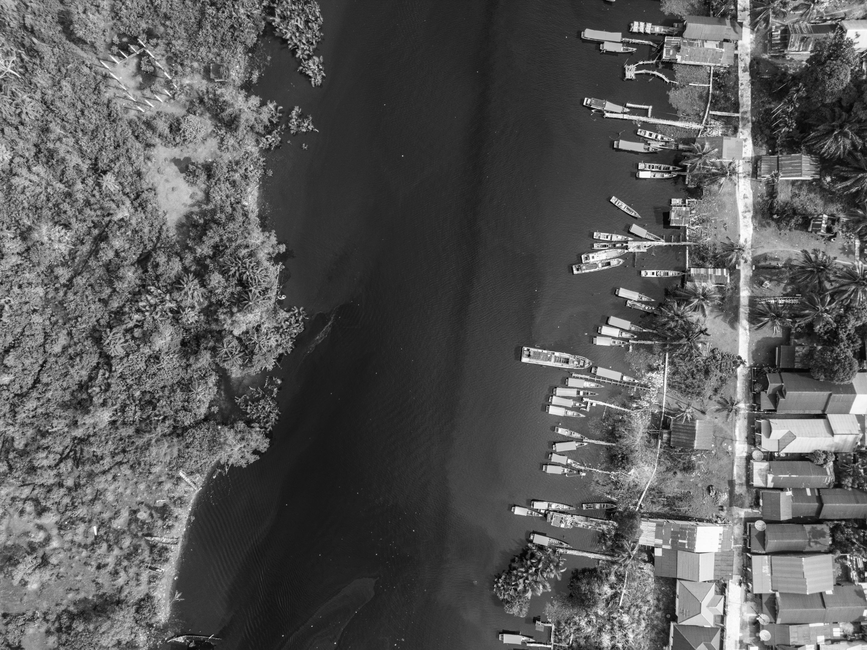 7 DJI_0047 copy.jpg