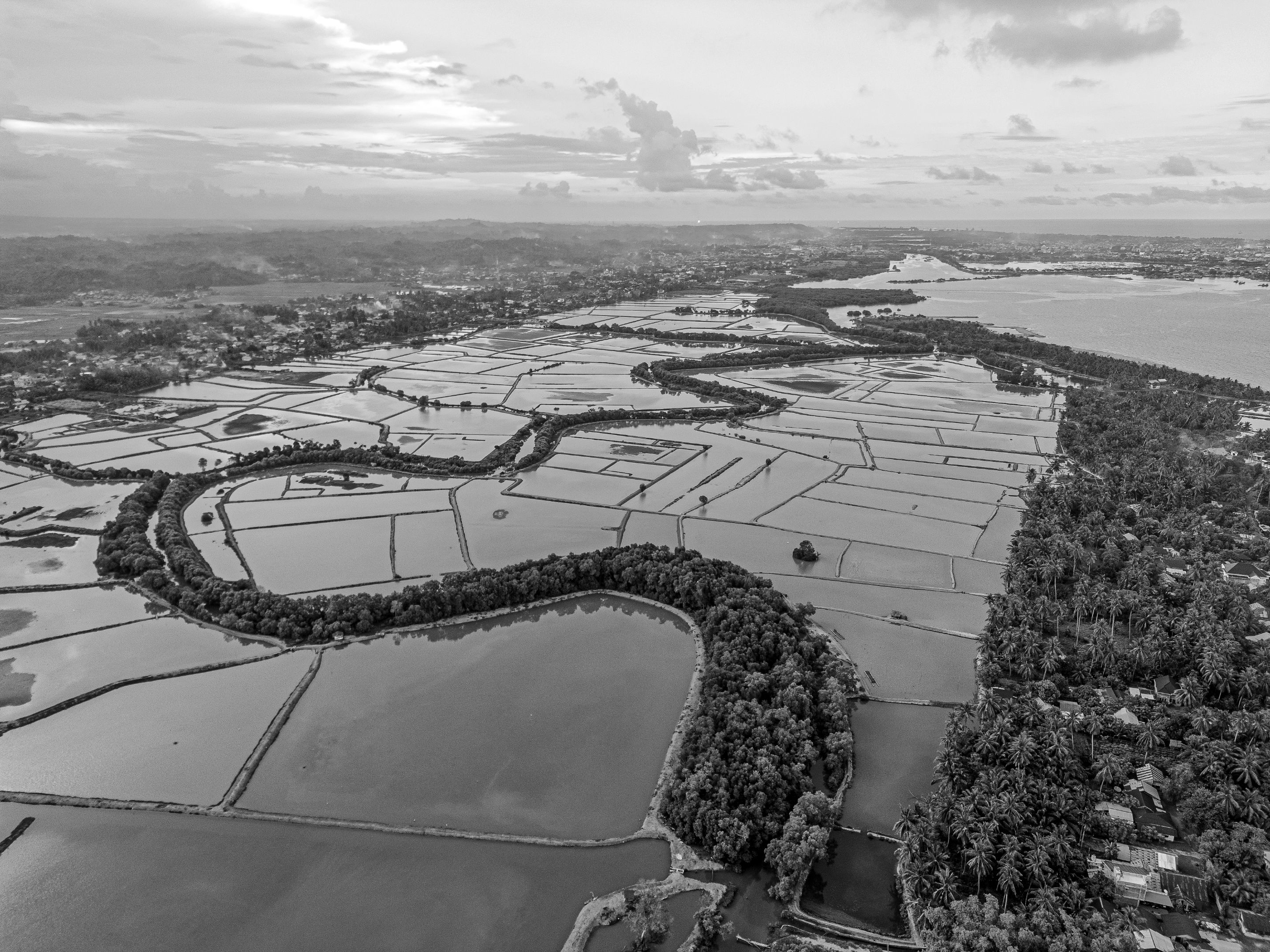 1 DJI_0004 copy.jpg