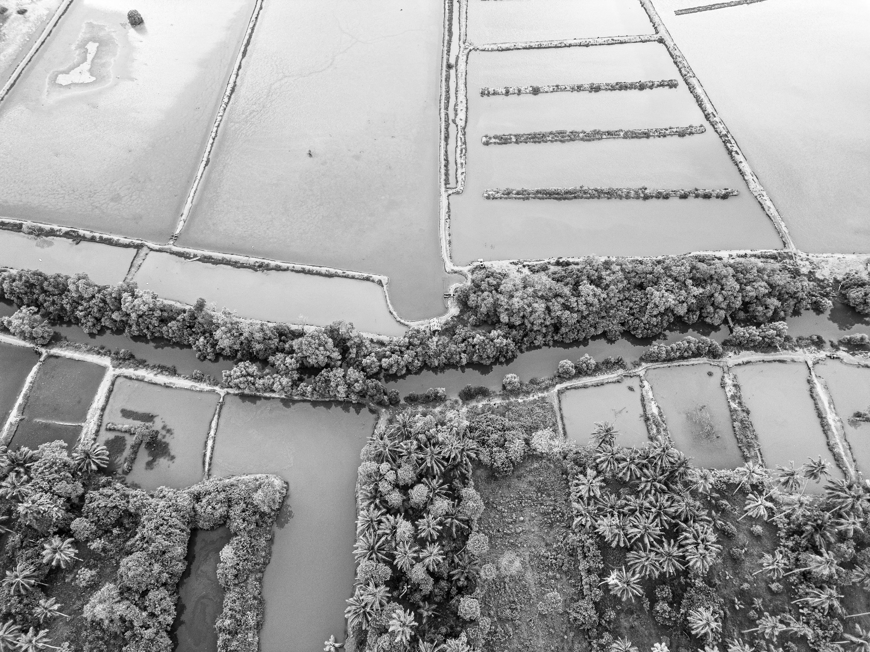 7 DJI_0030 copy.jpg