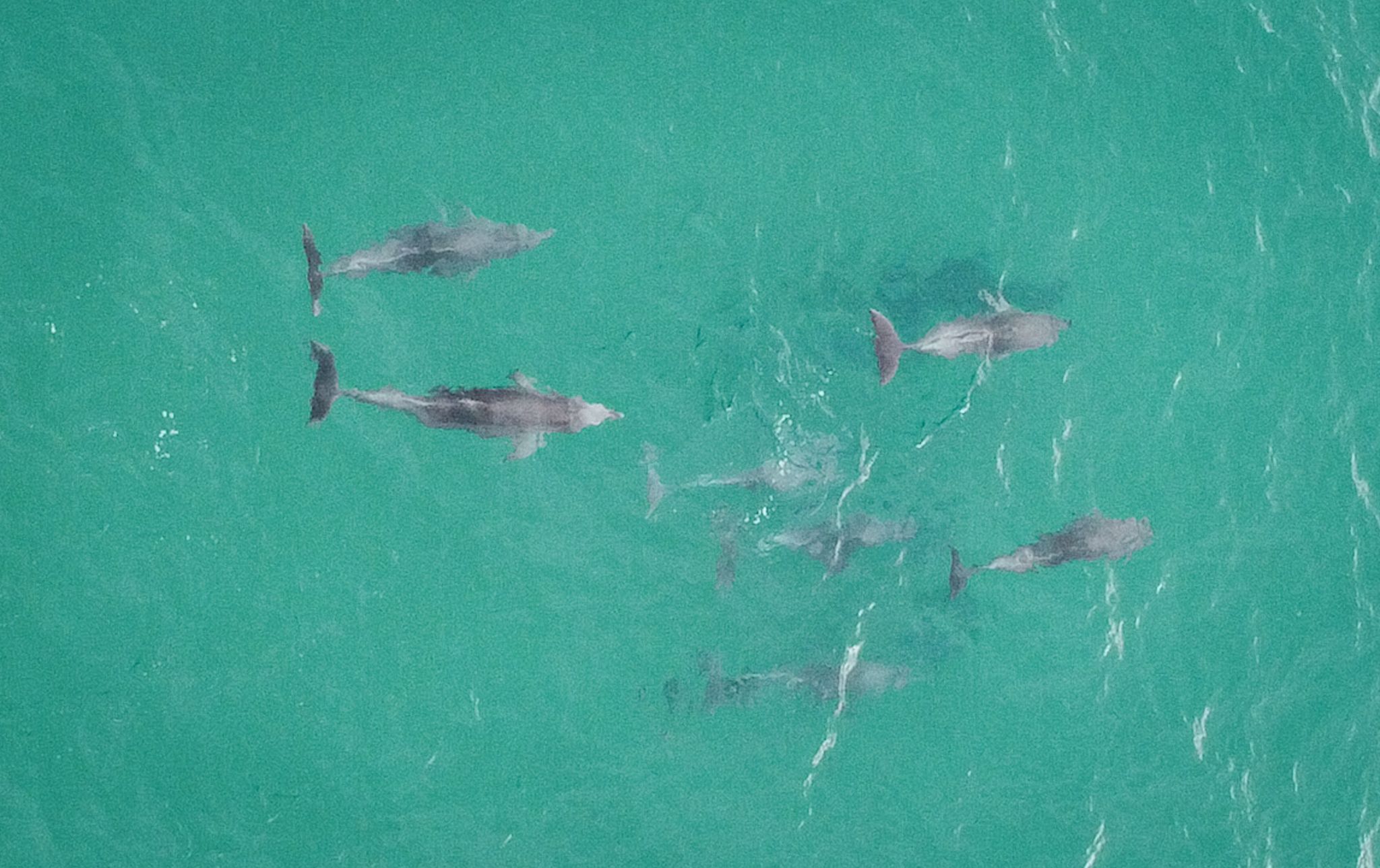 DJI_0346.jpg