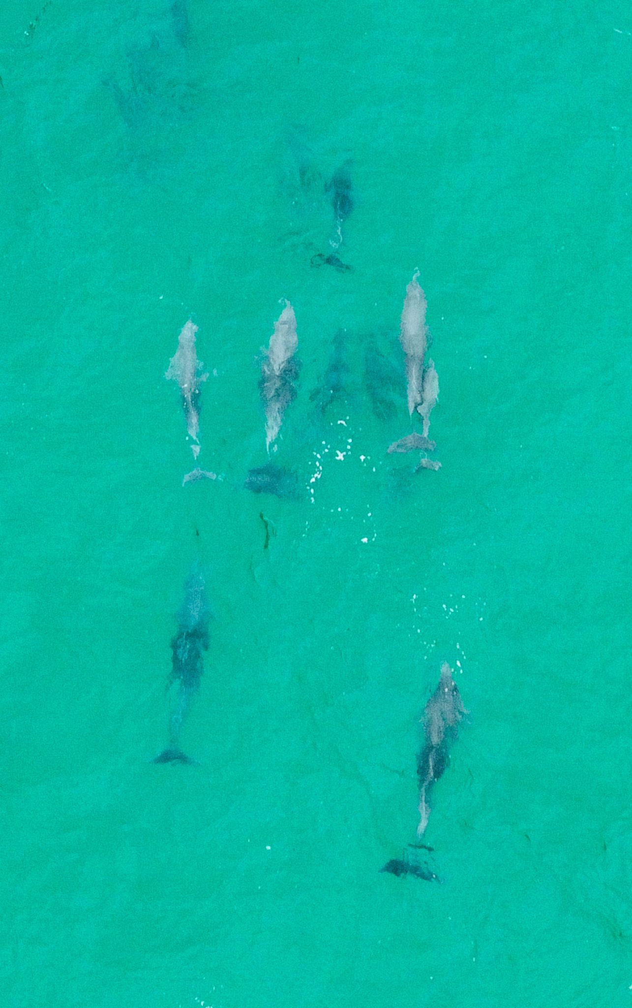 DJI_0348.jpg