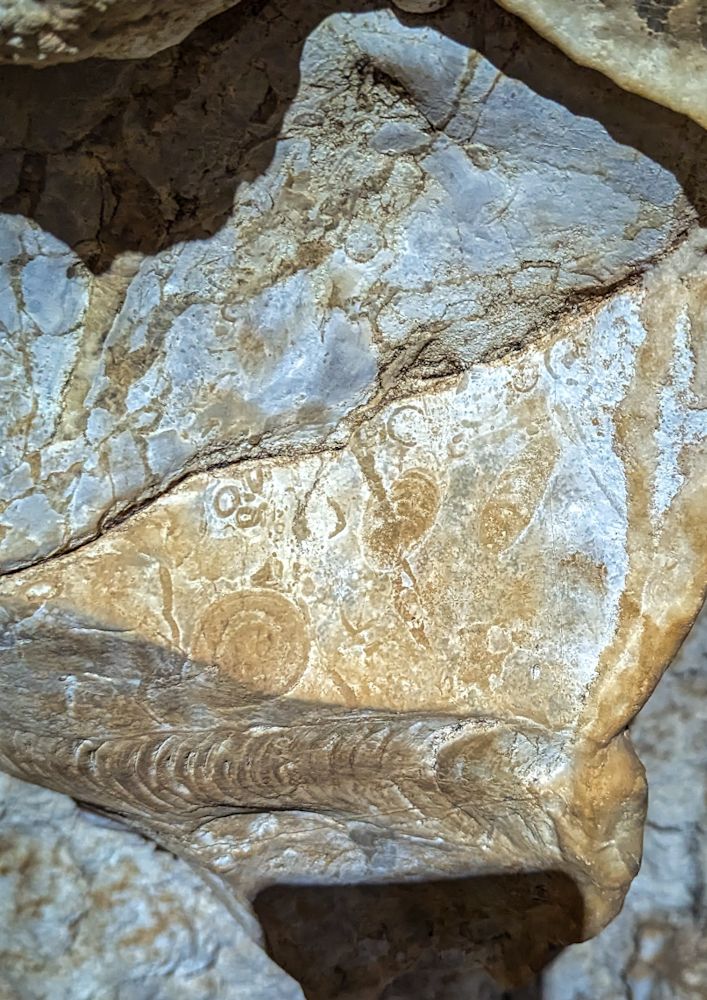 PXL_20230902_042415990.MP.jpg