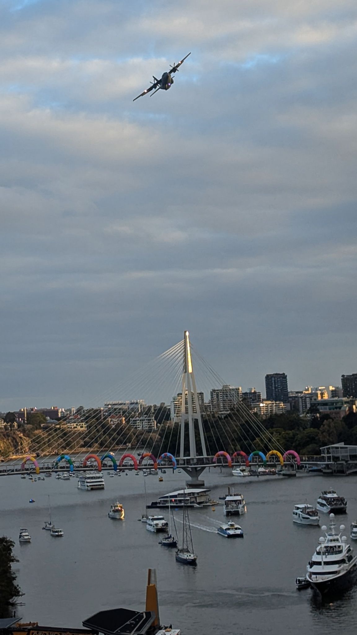 1000020715.jpg